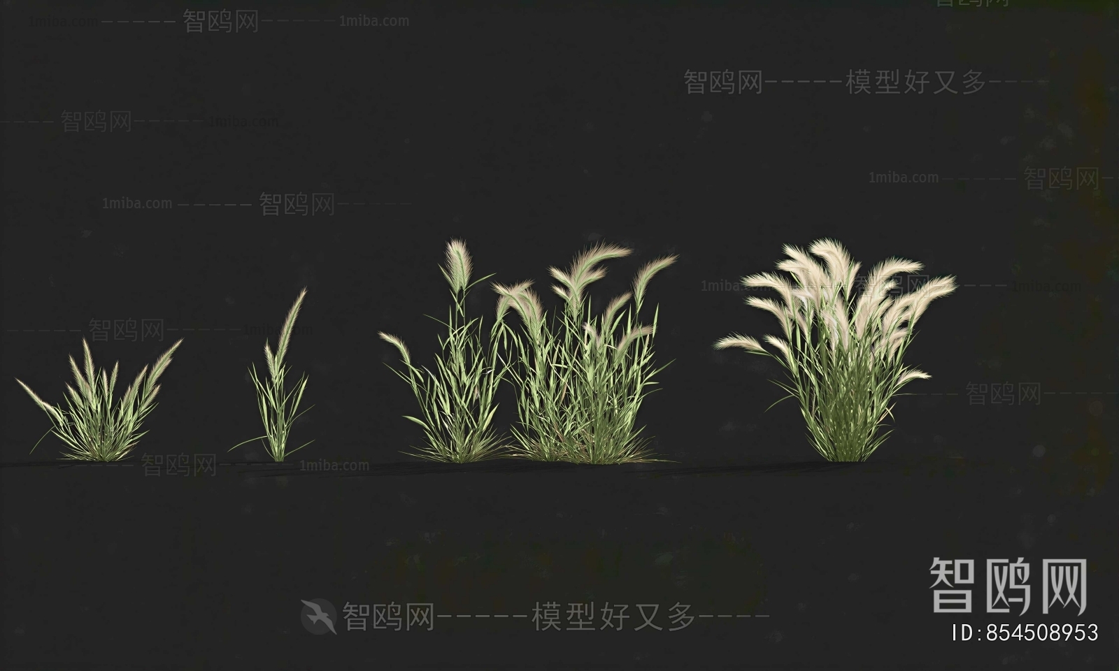 Modern The Grass