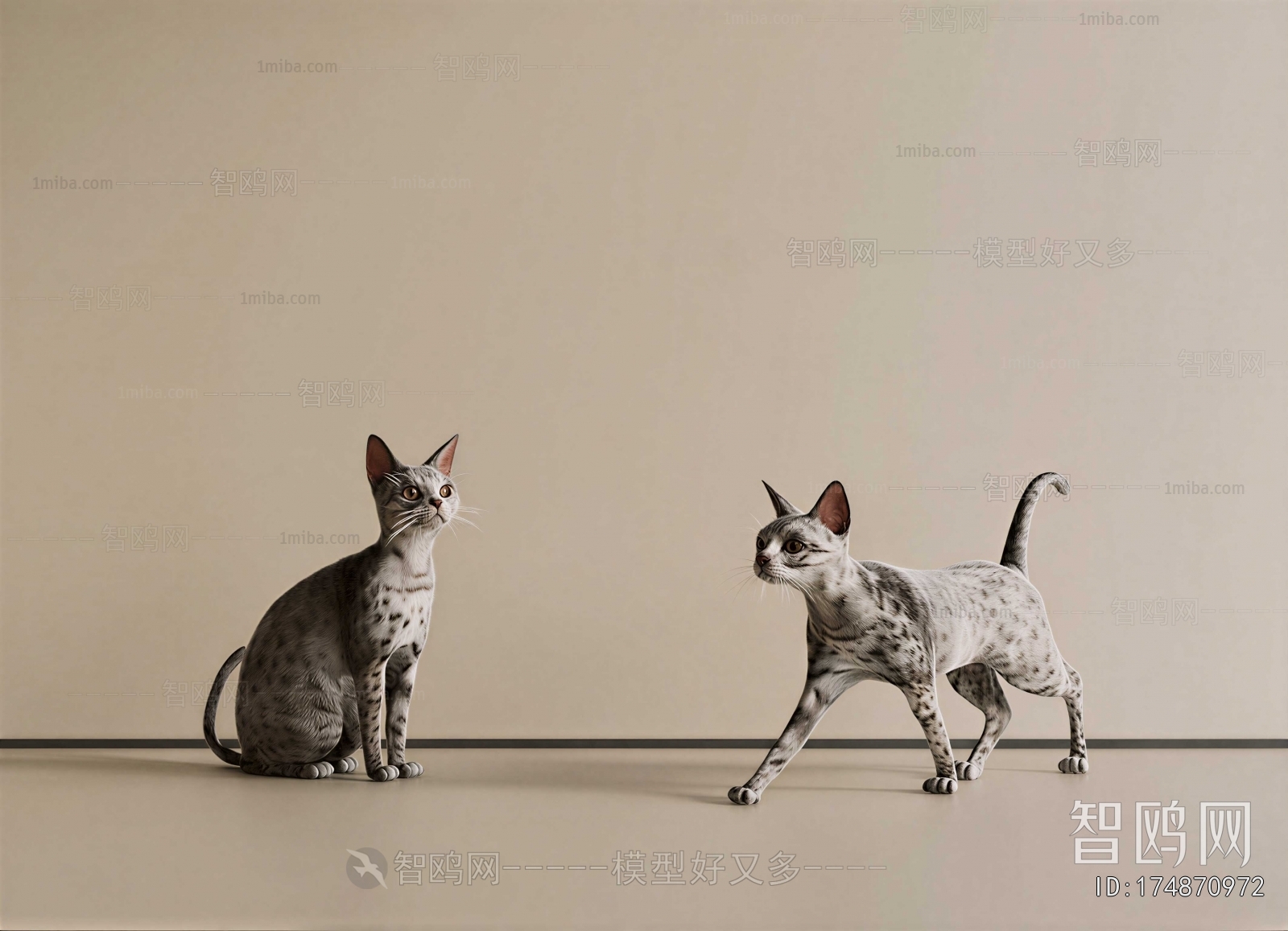 Modern Animal Cat