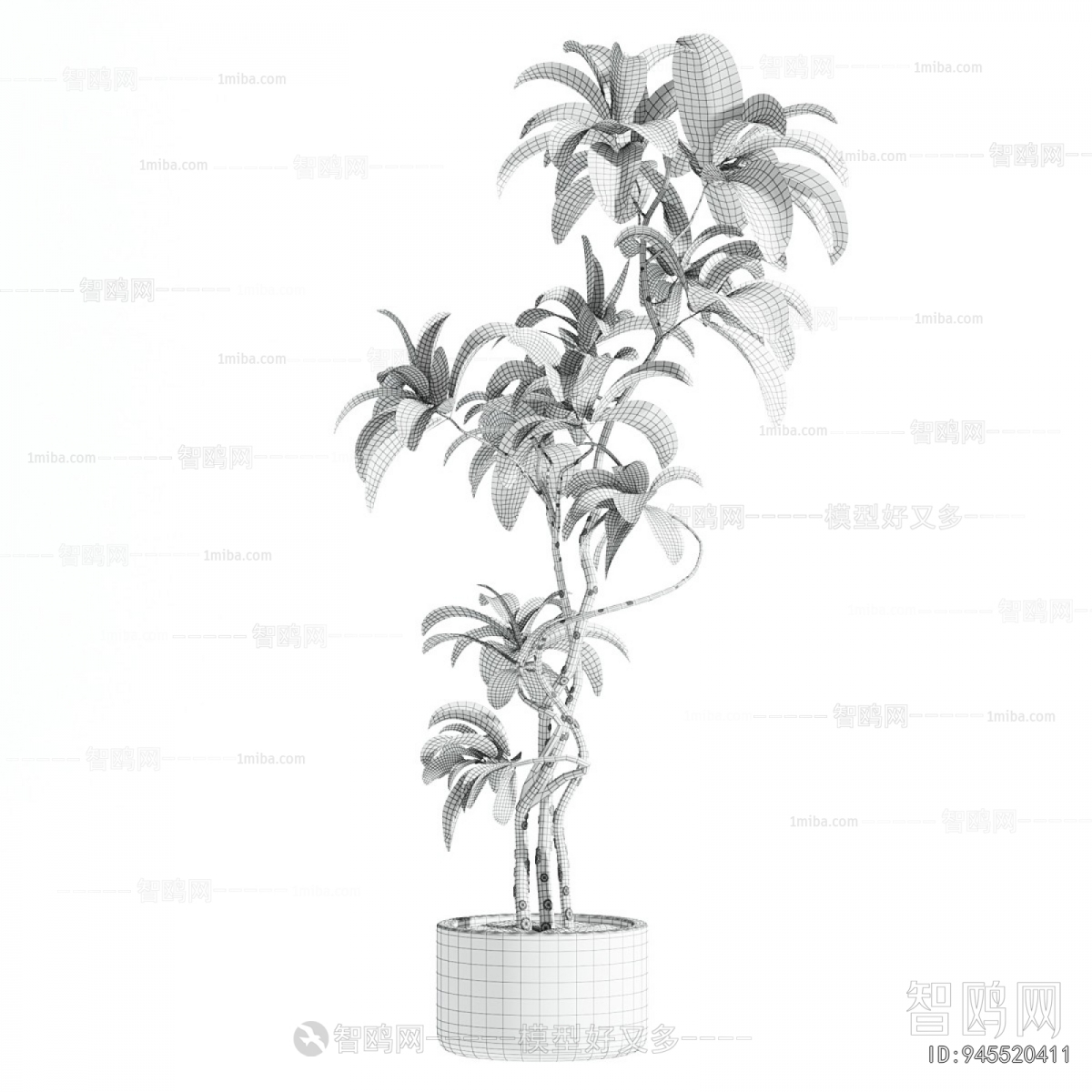 Modern Ground Green Plant Potted Plants