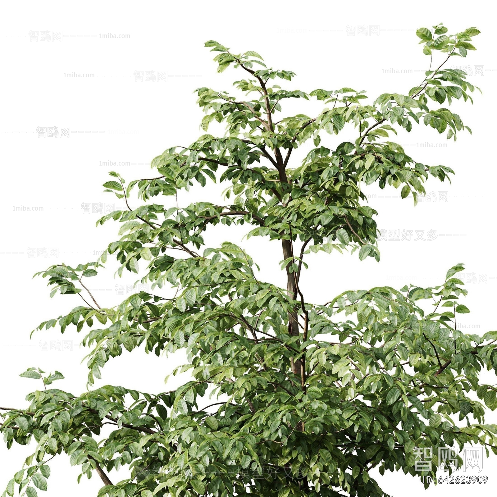 Modern Tree