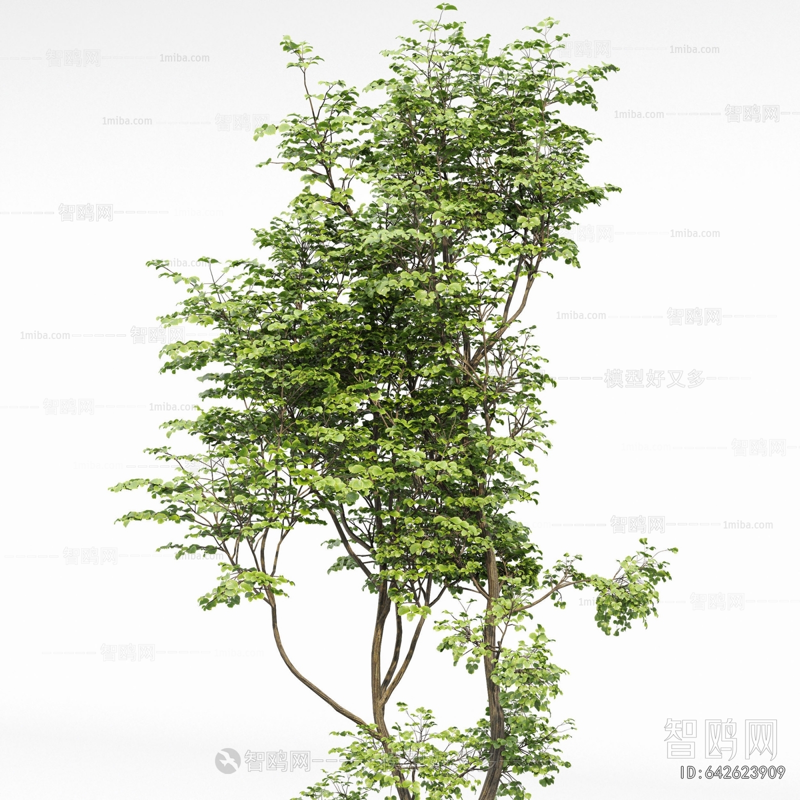 Modern Tree