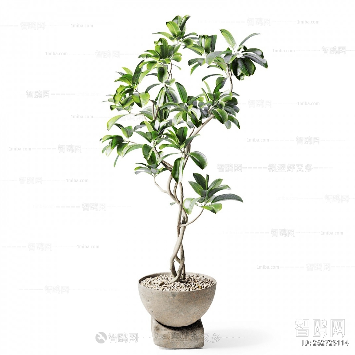 Modern Ground Green Plant Potted Plants