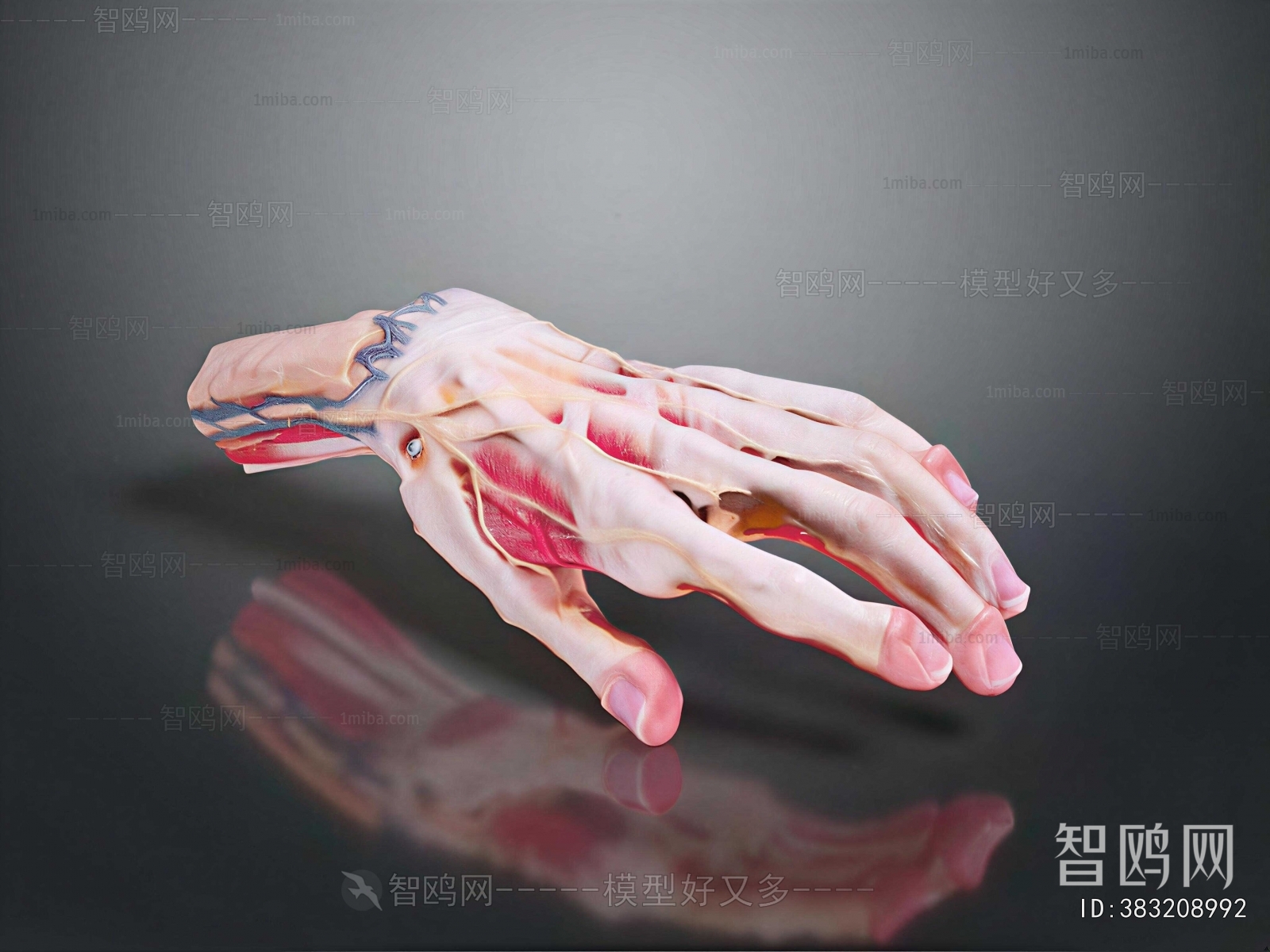 Modern Medical Equipment