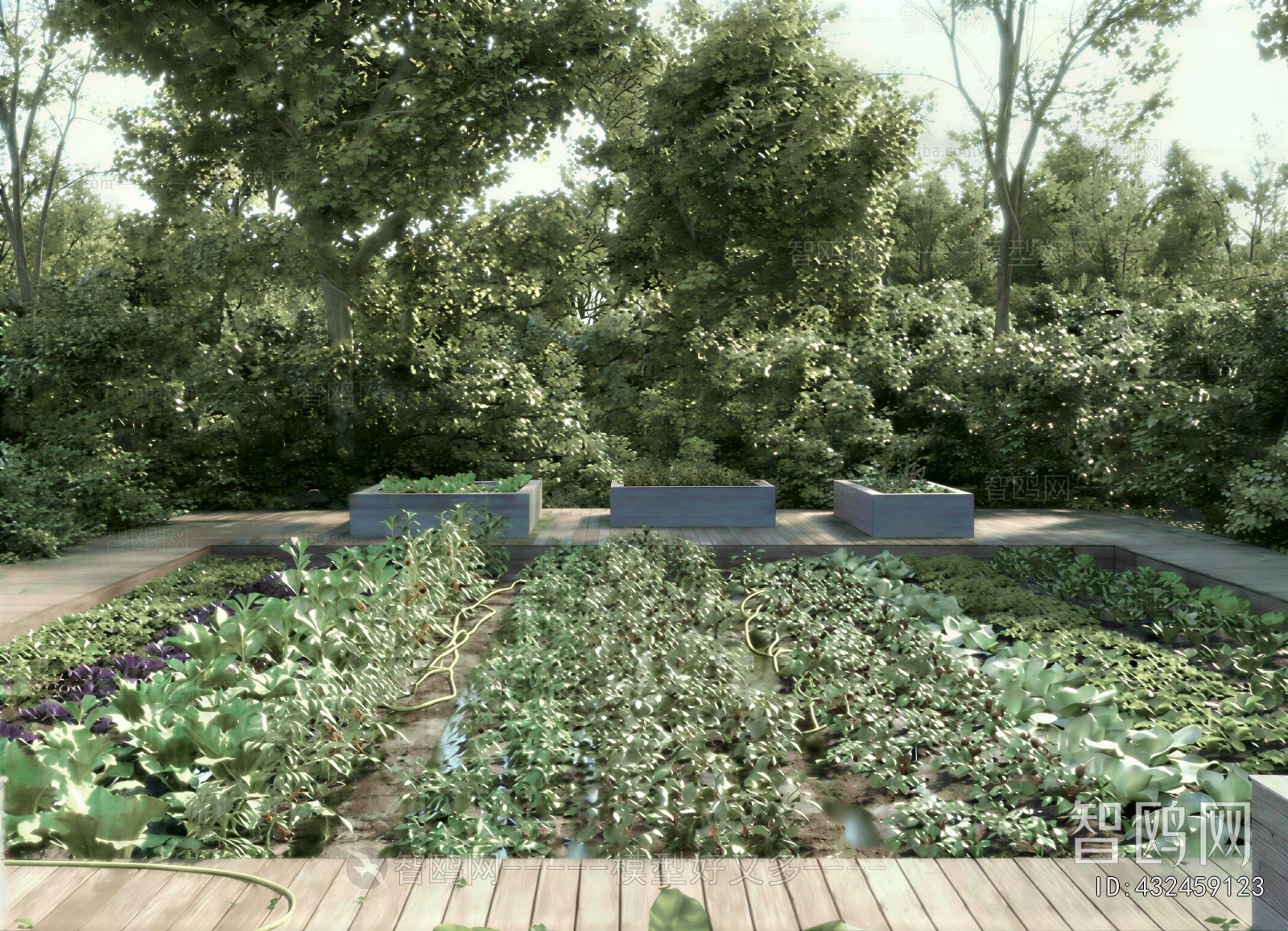 Modern Crop