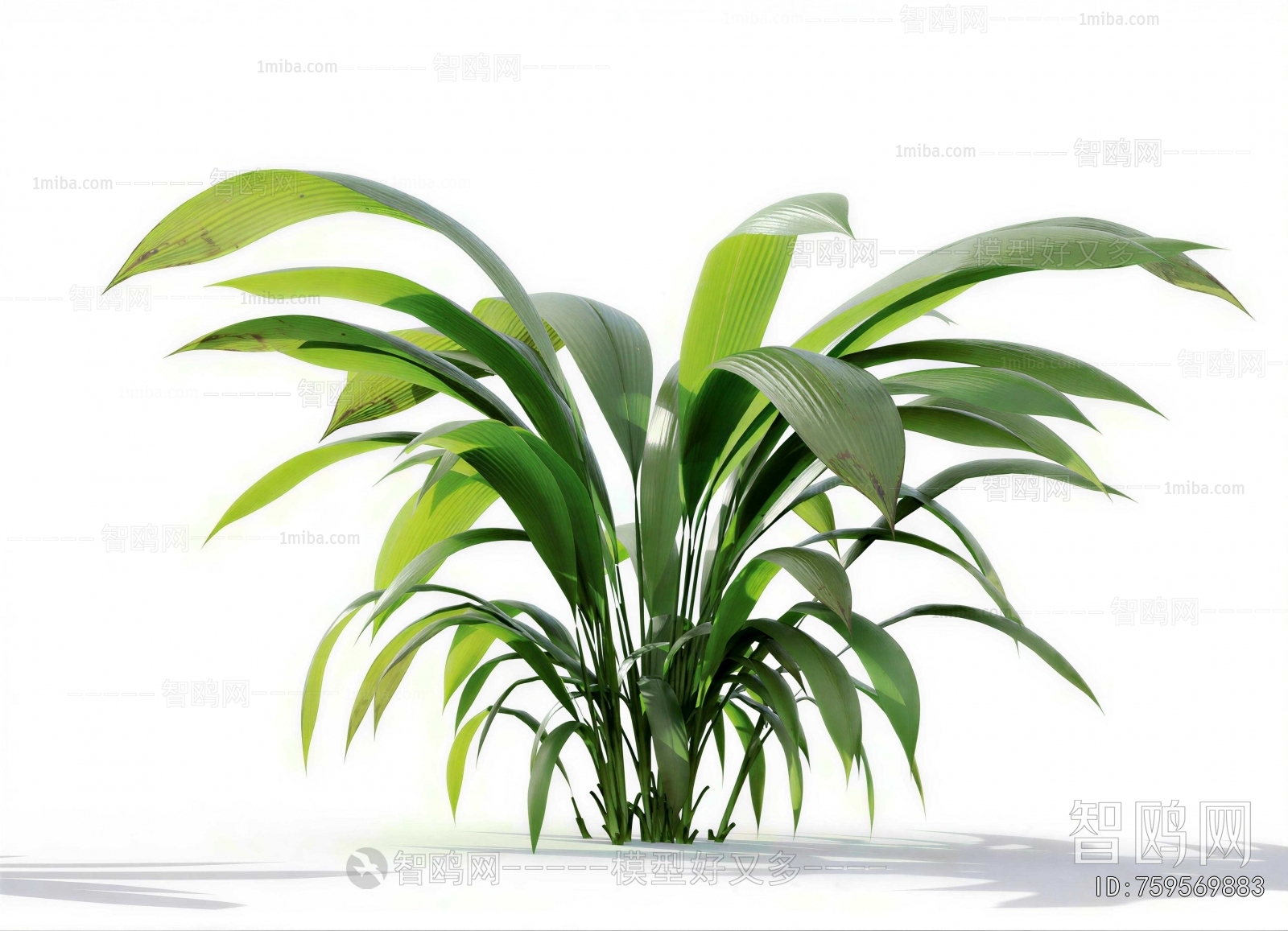 Modern Plant