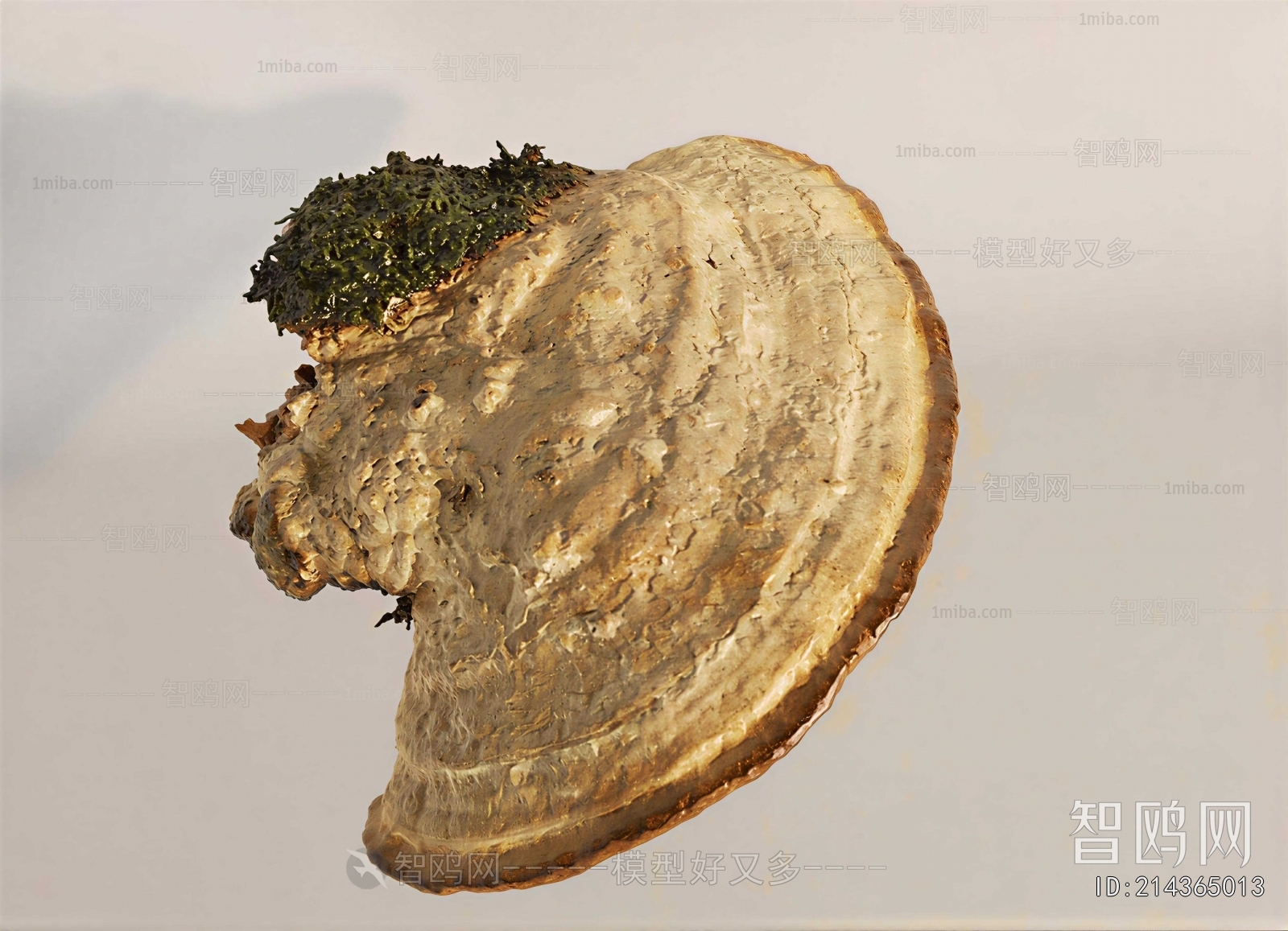 Modern Food/vegetables/fruit