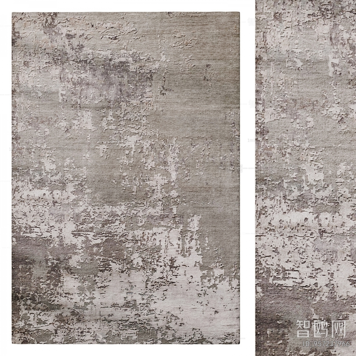 Modern The Carpet