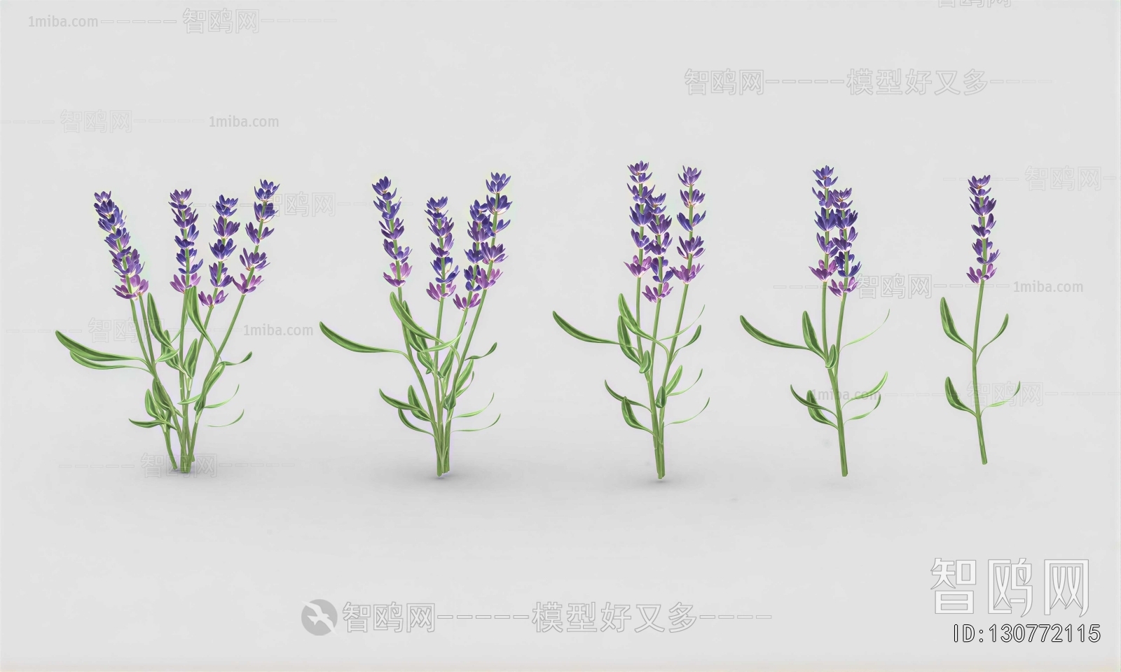 Modern Flowers And Grass
