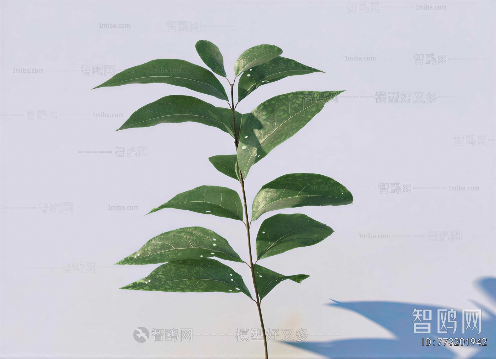 Modern Tree/shrub/grass