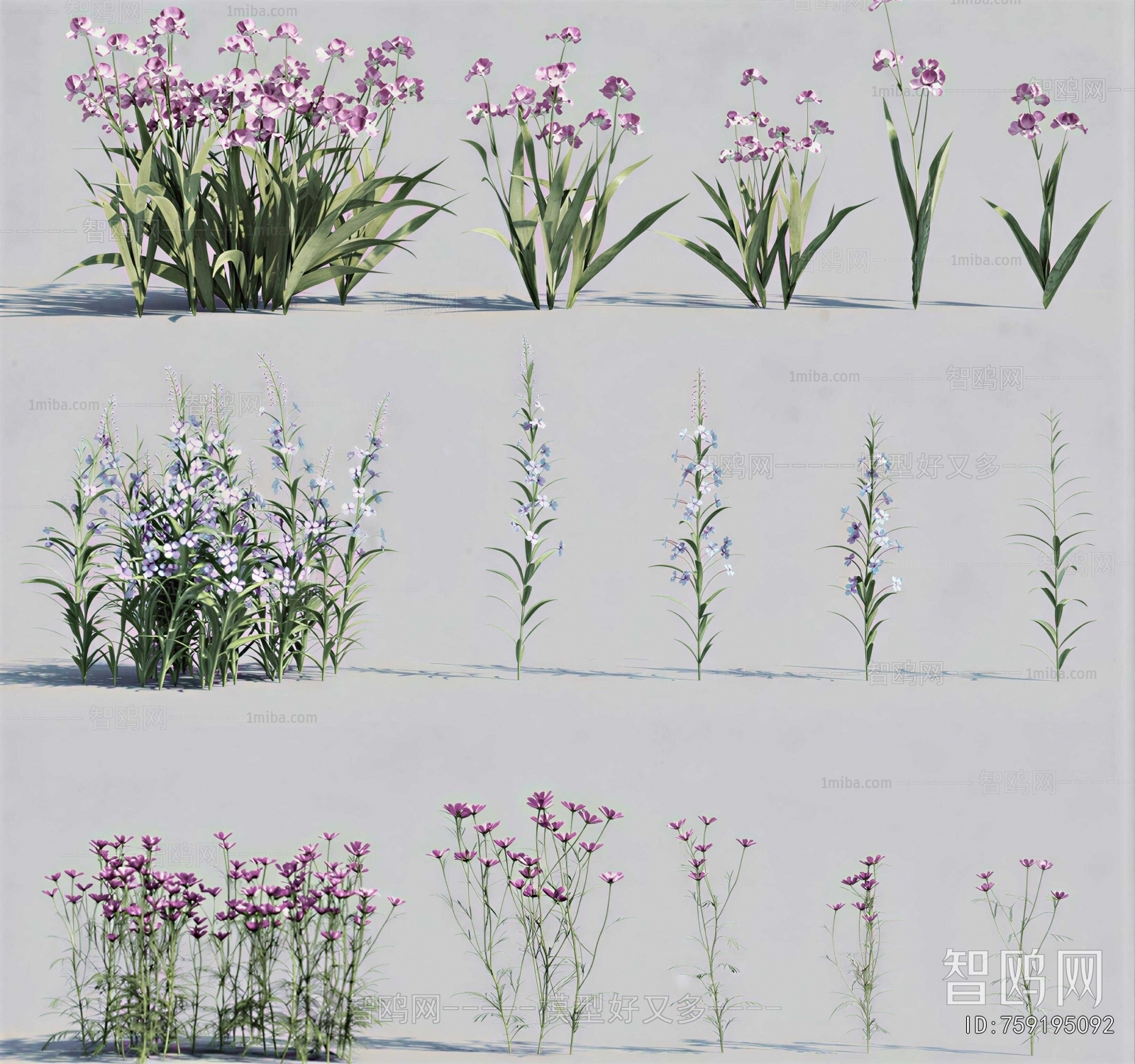 Modern Flowers And Grass