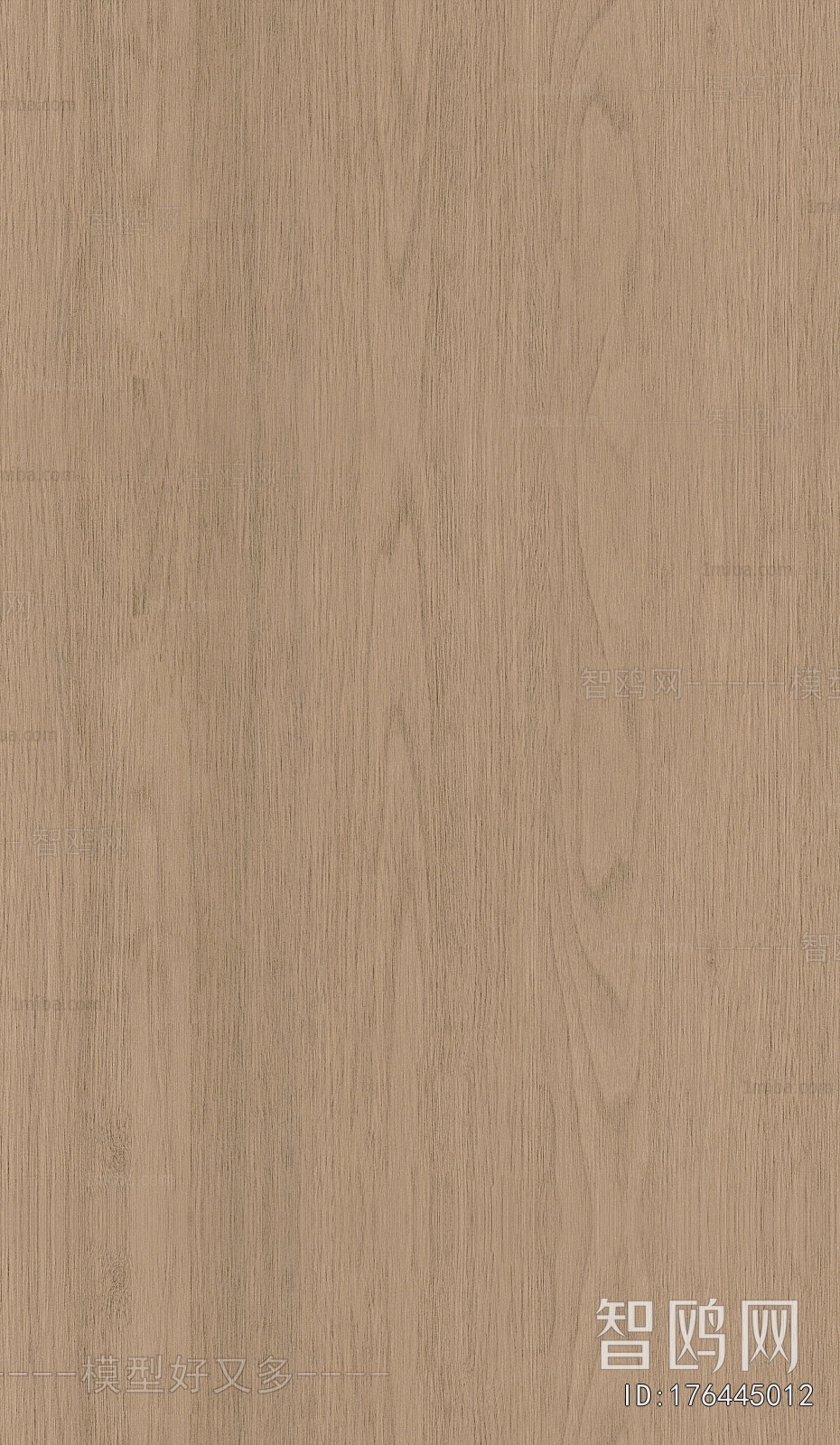 Wood Texture