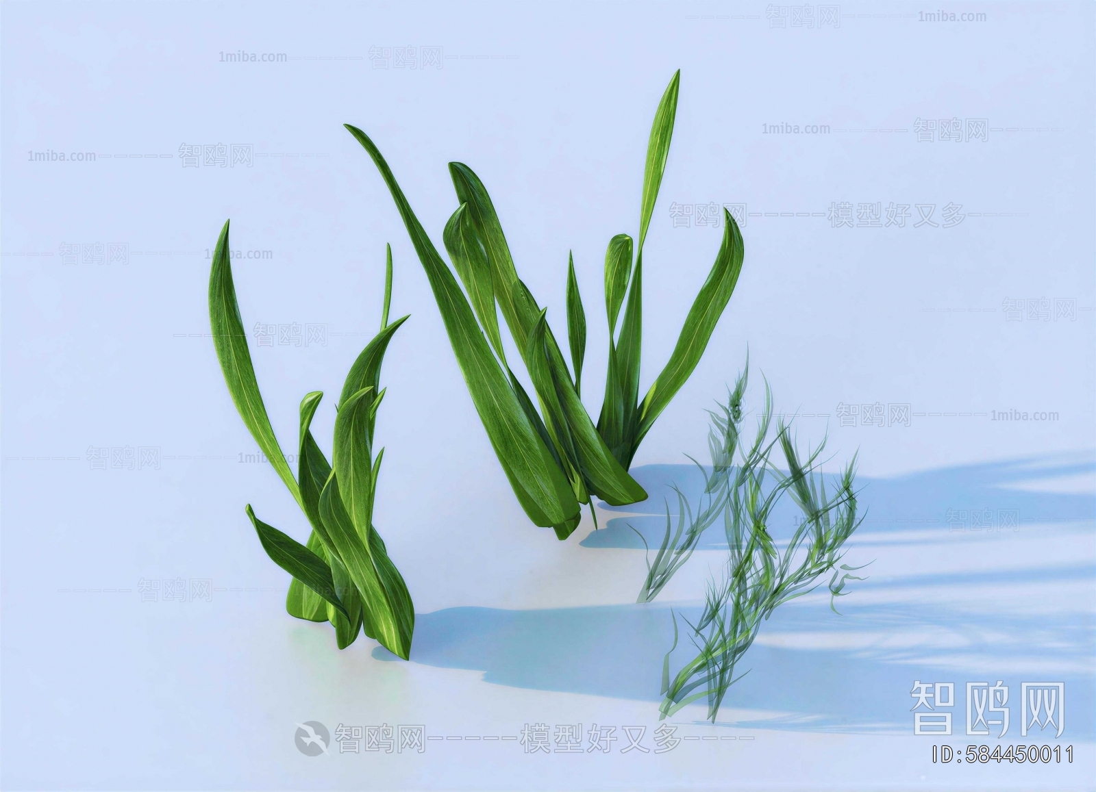 Modern Plant