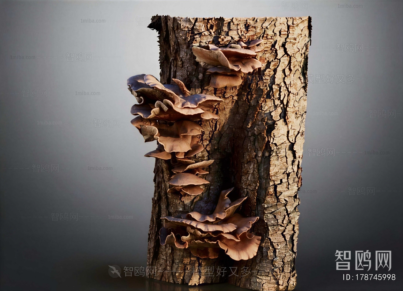 Modern Wood