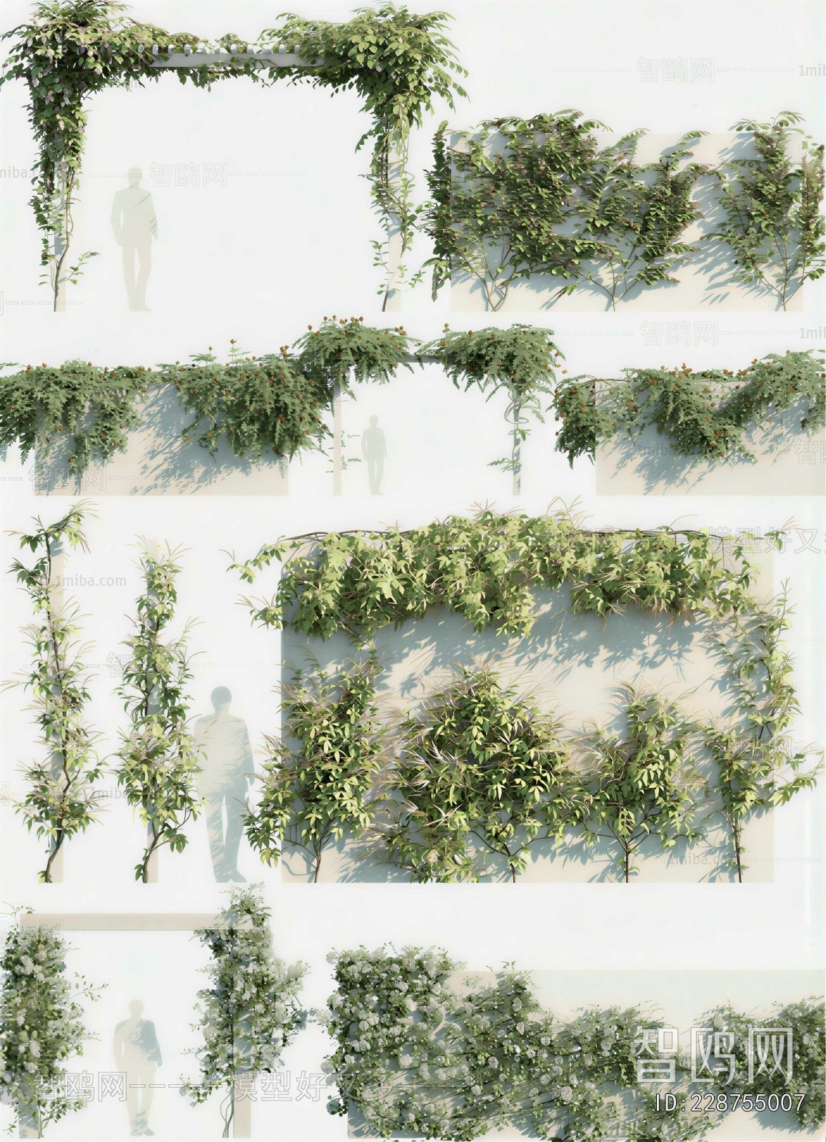 Modern Vine