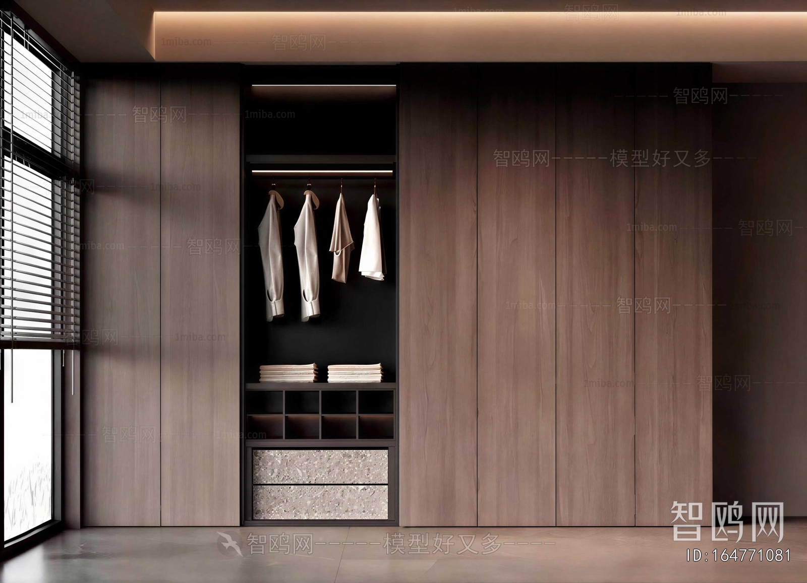 Modern Clothes Storage Area