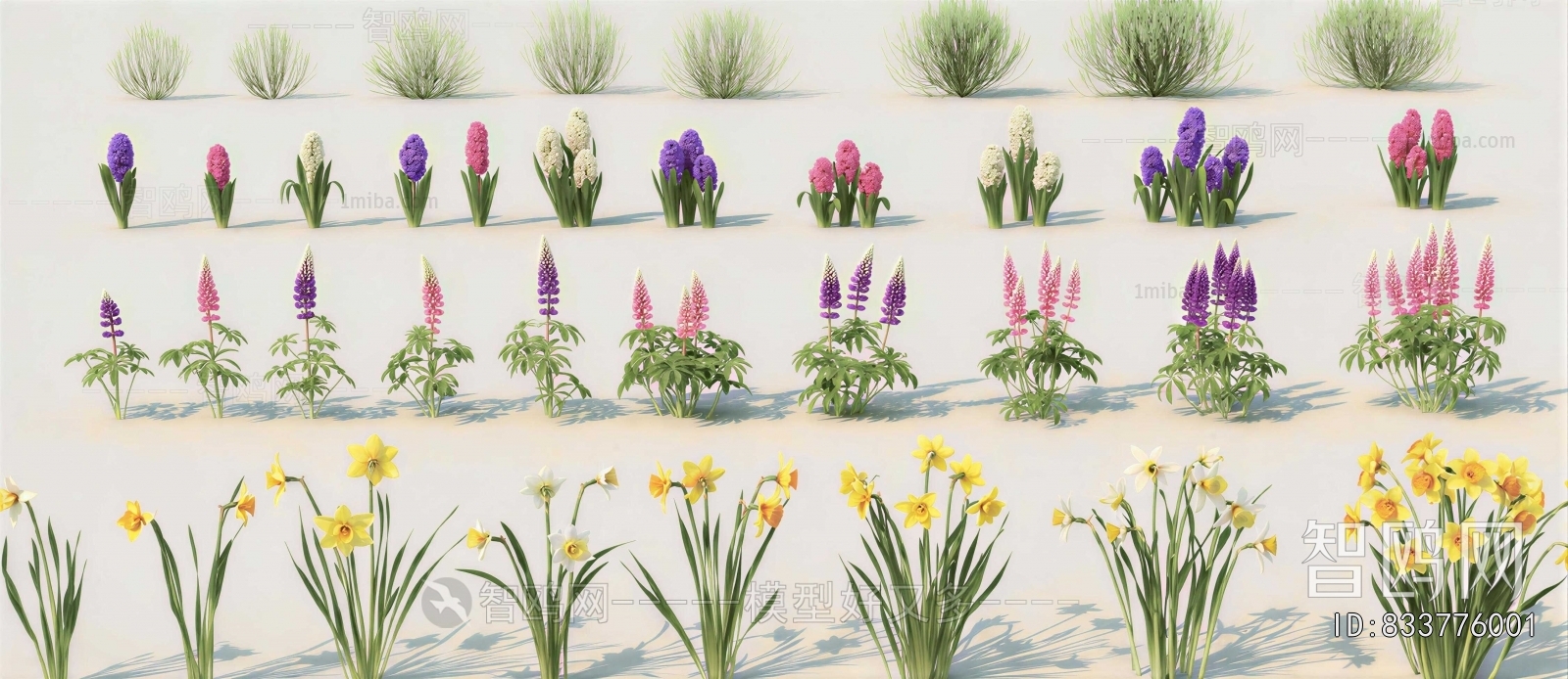 Modern Flowers And Grass