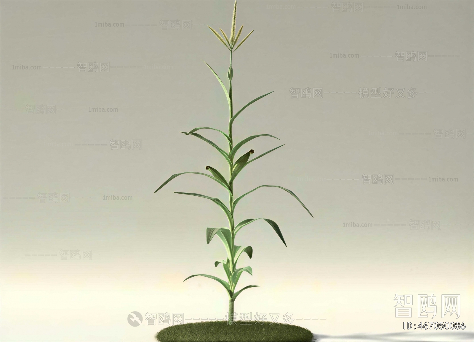 Modern Crop