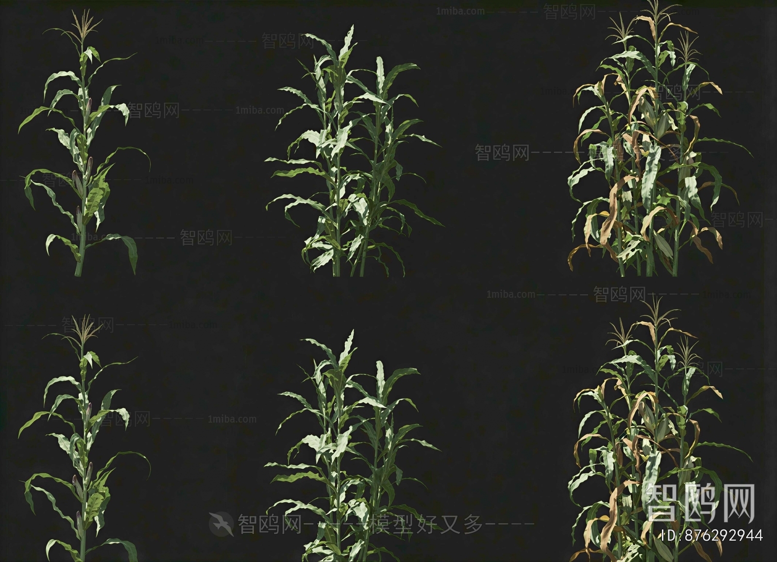 Modern Crop