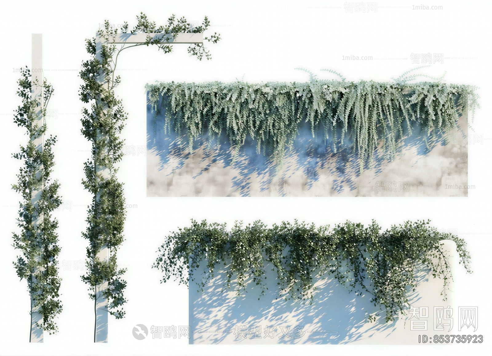 Modern Vine