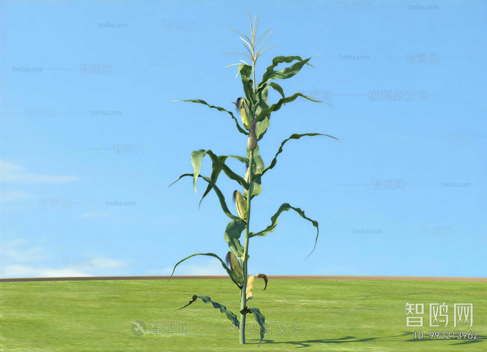 Modern Crop