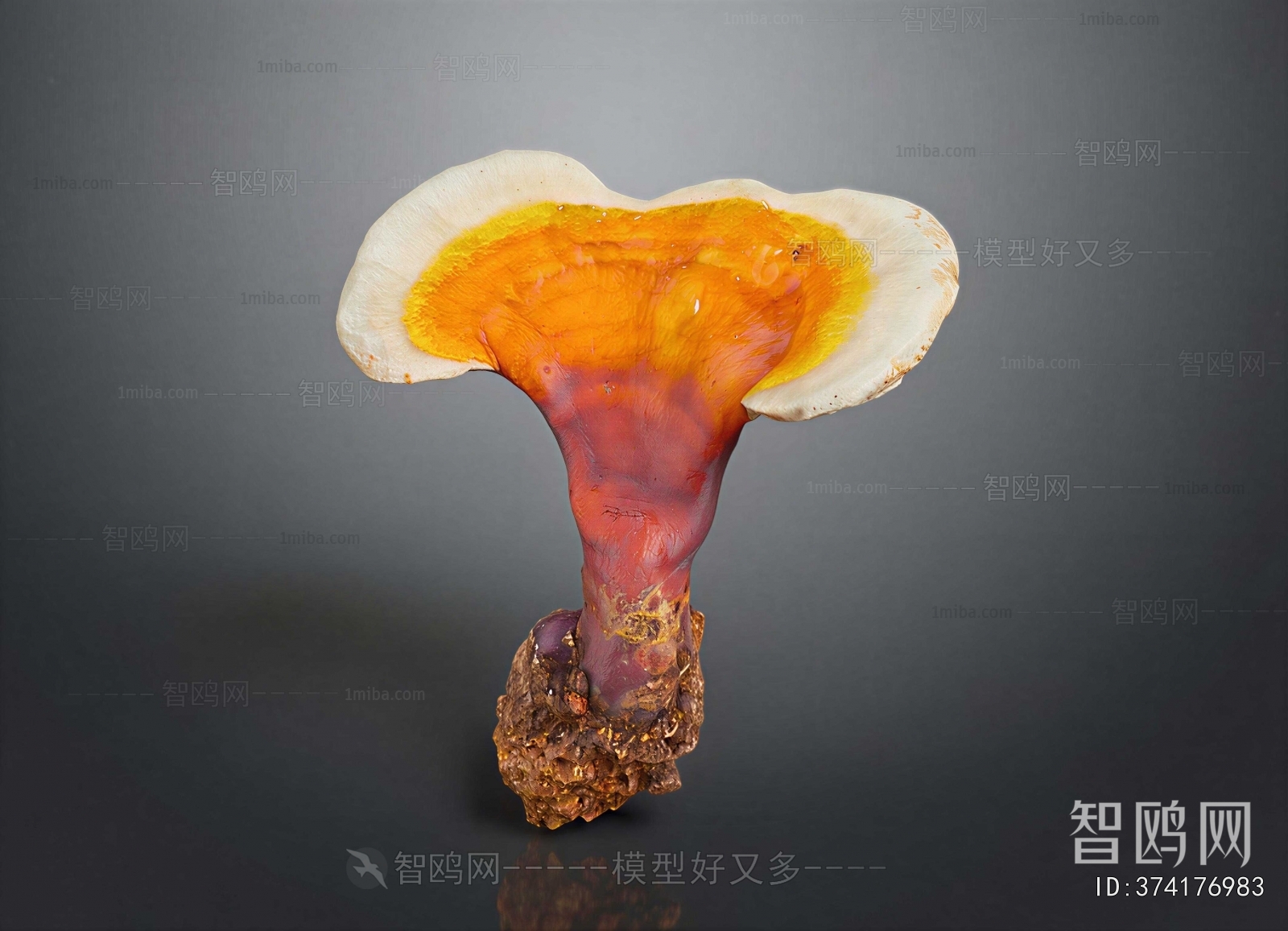 Modern Food/vegetables/fruit