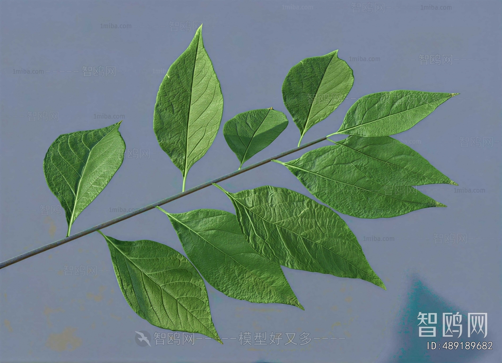 Modern Tree/shrub/grass