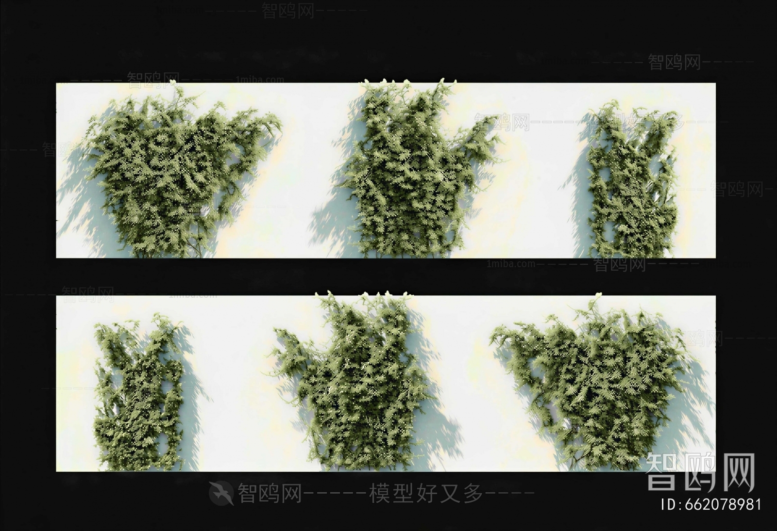 Modern Vine