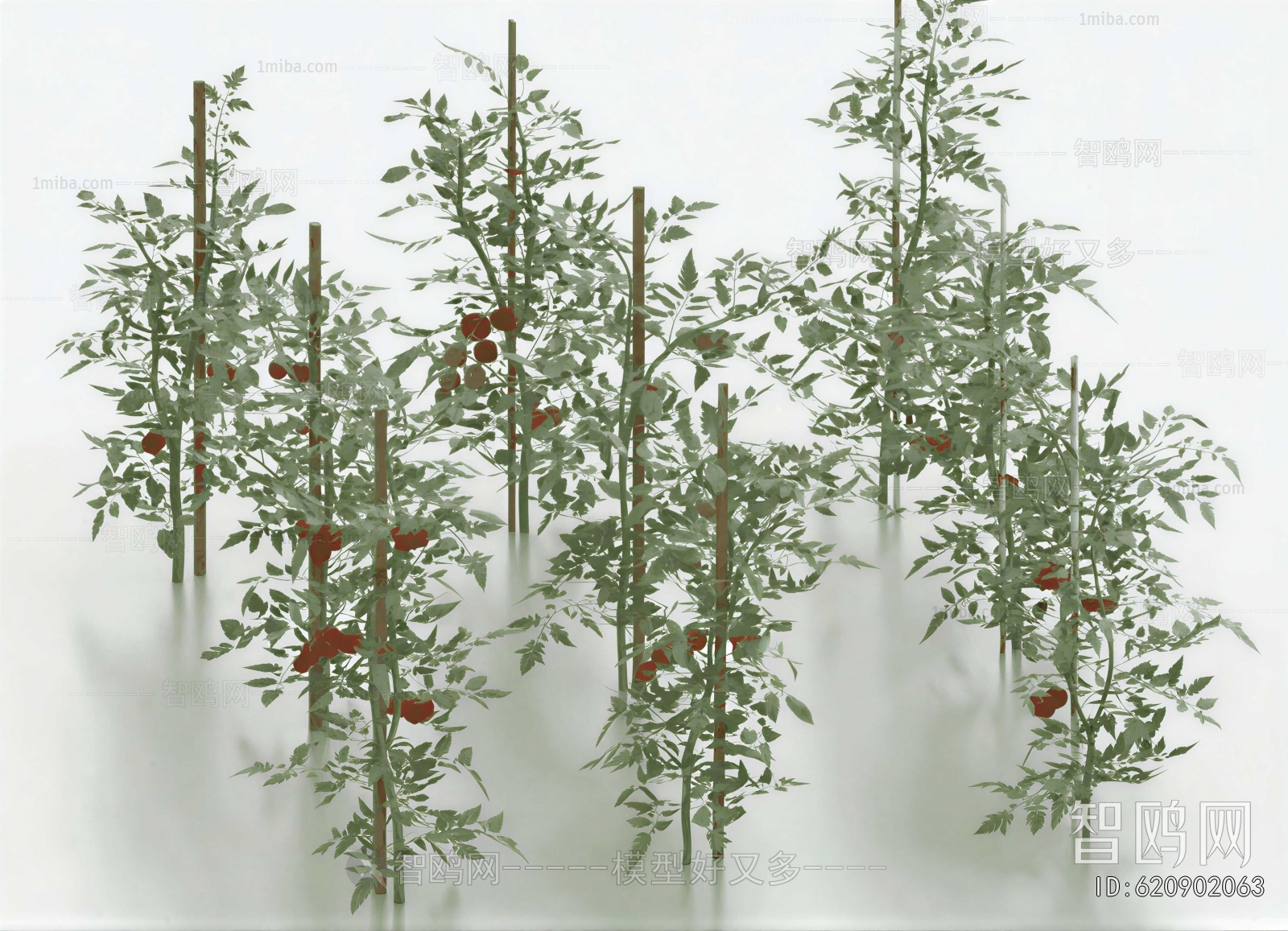 Modern Crop