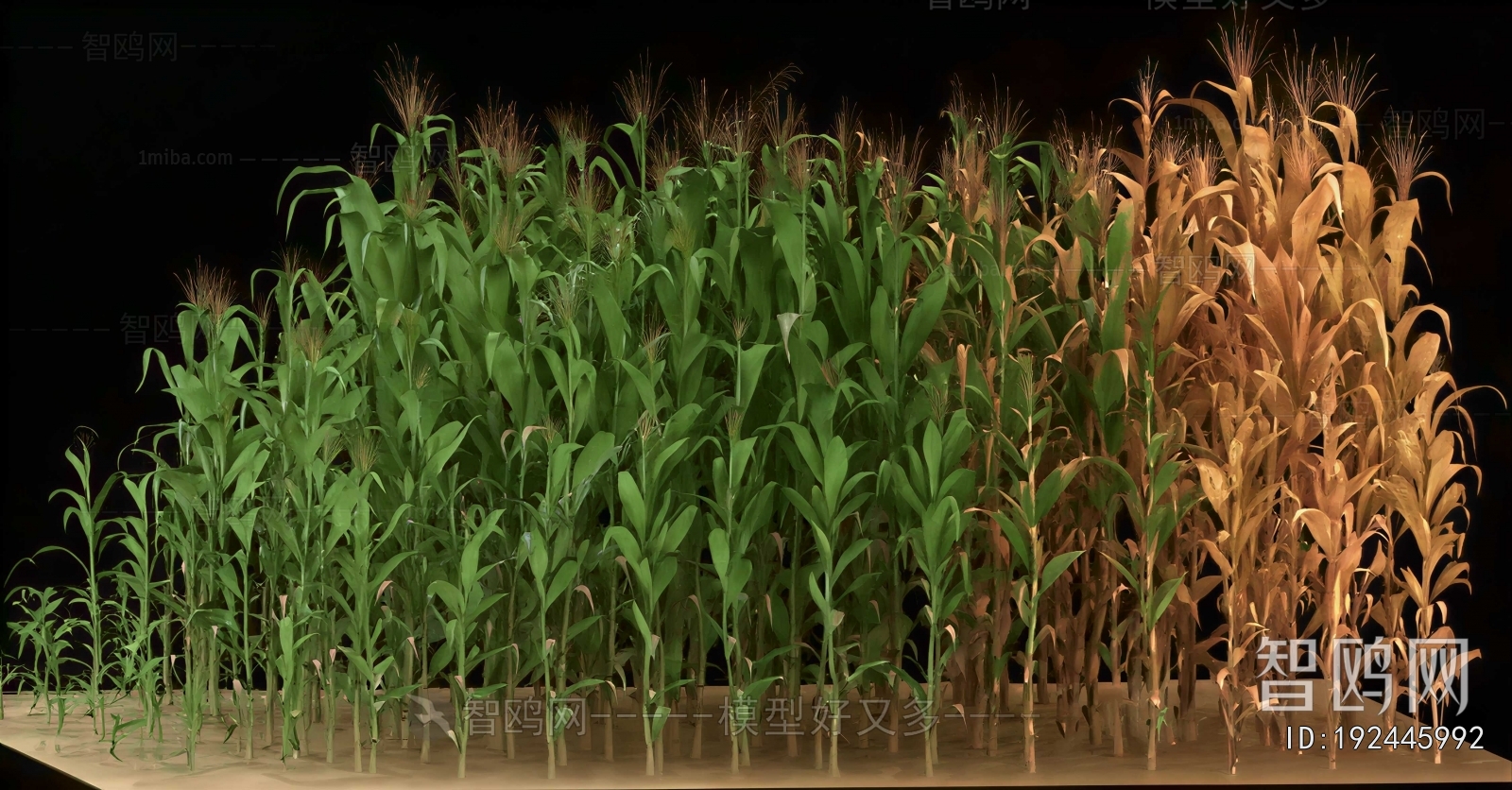 Modern Crop