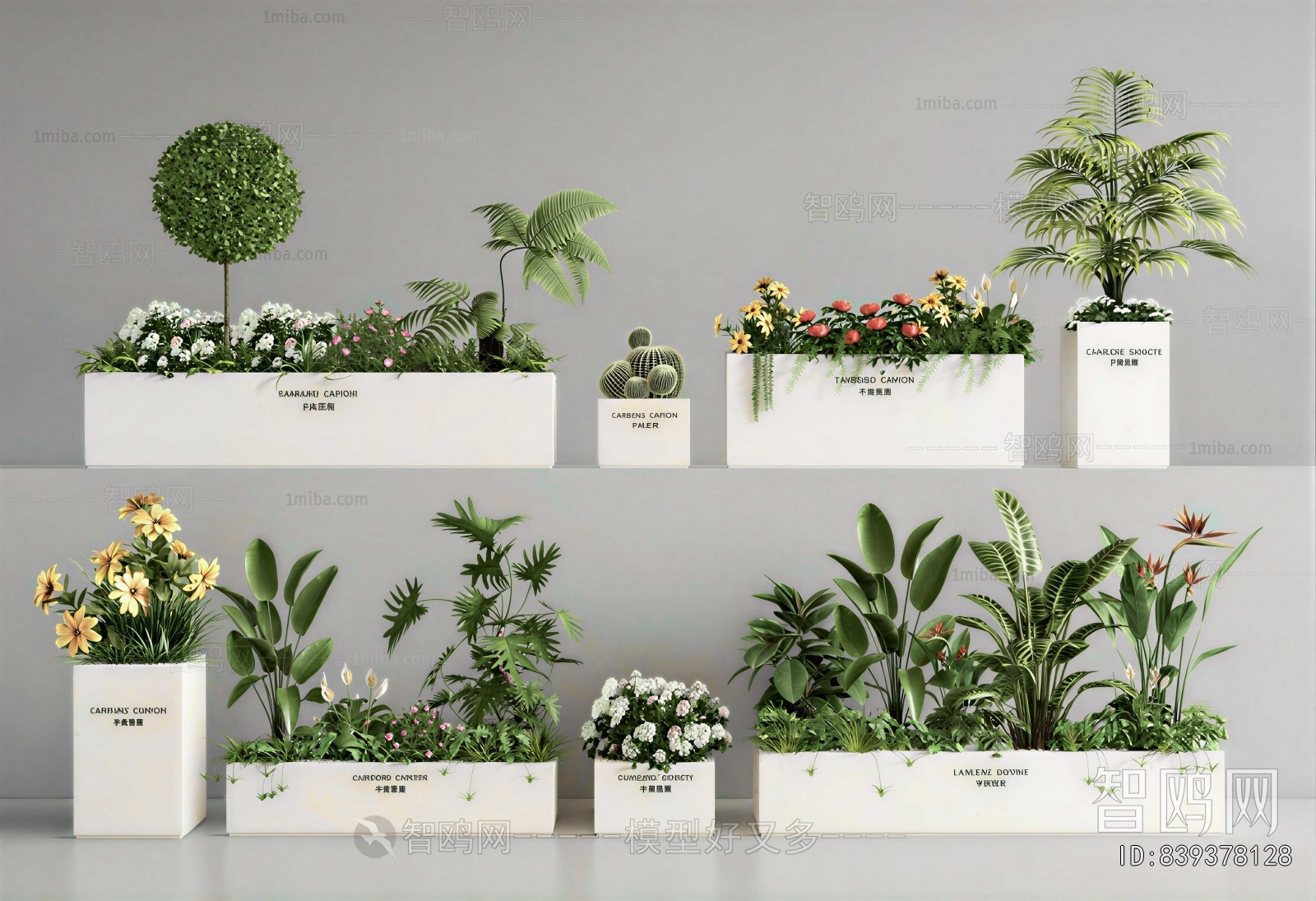 Modern Flower Bed, Flower Bowl, Flower Box