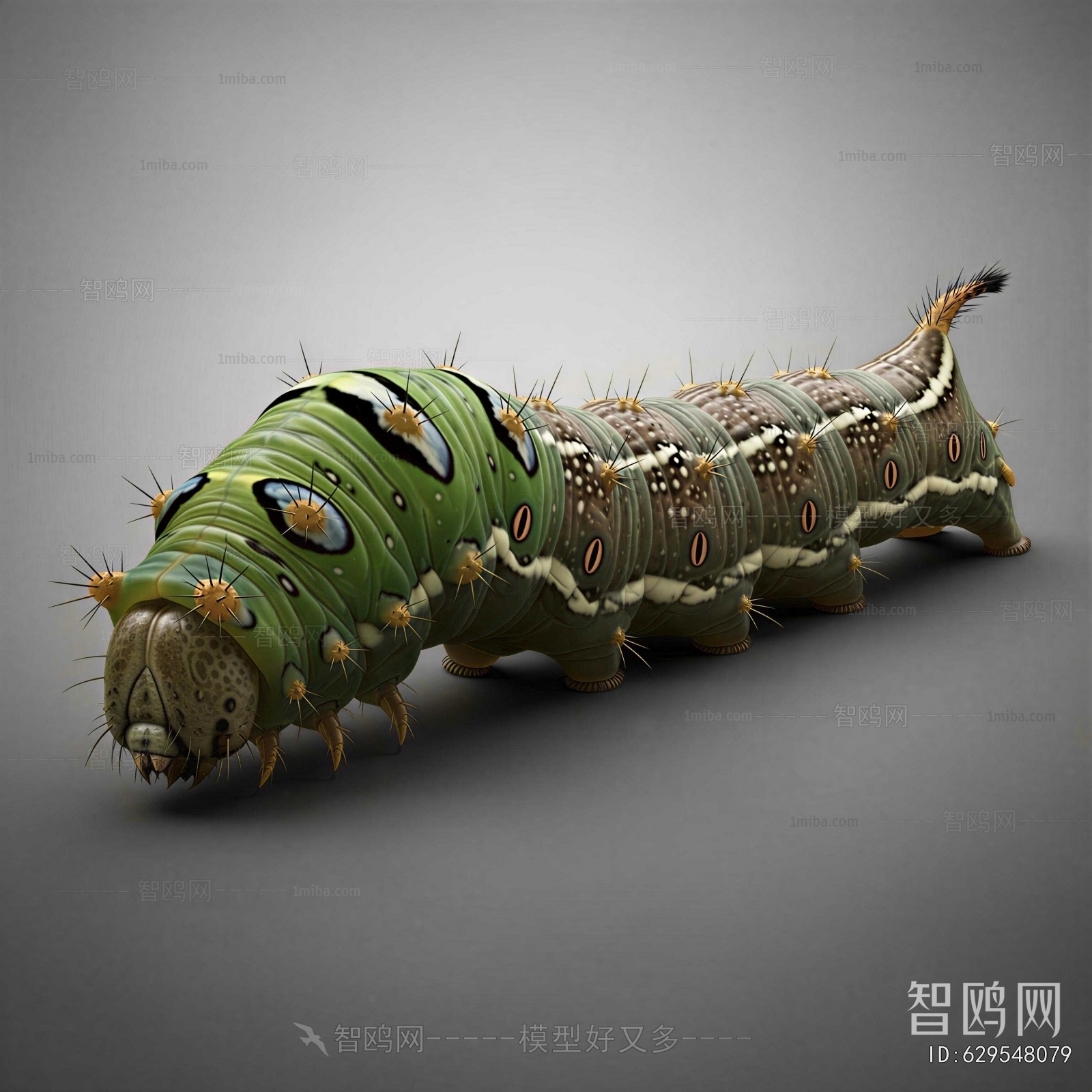 Modern Other Animals
