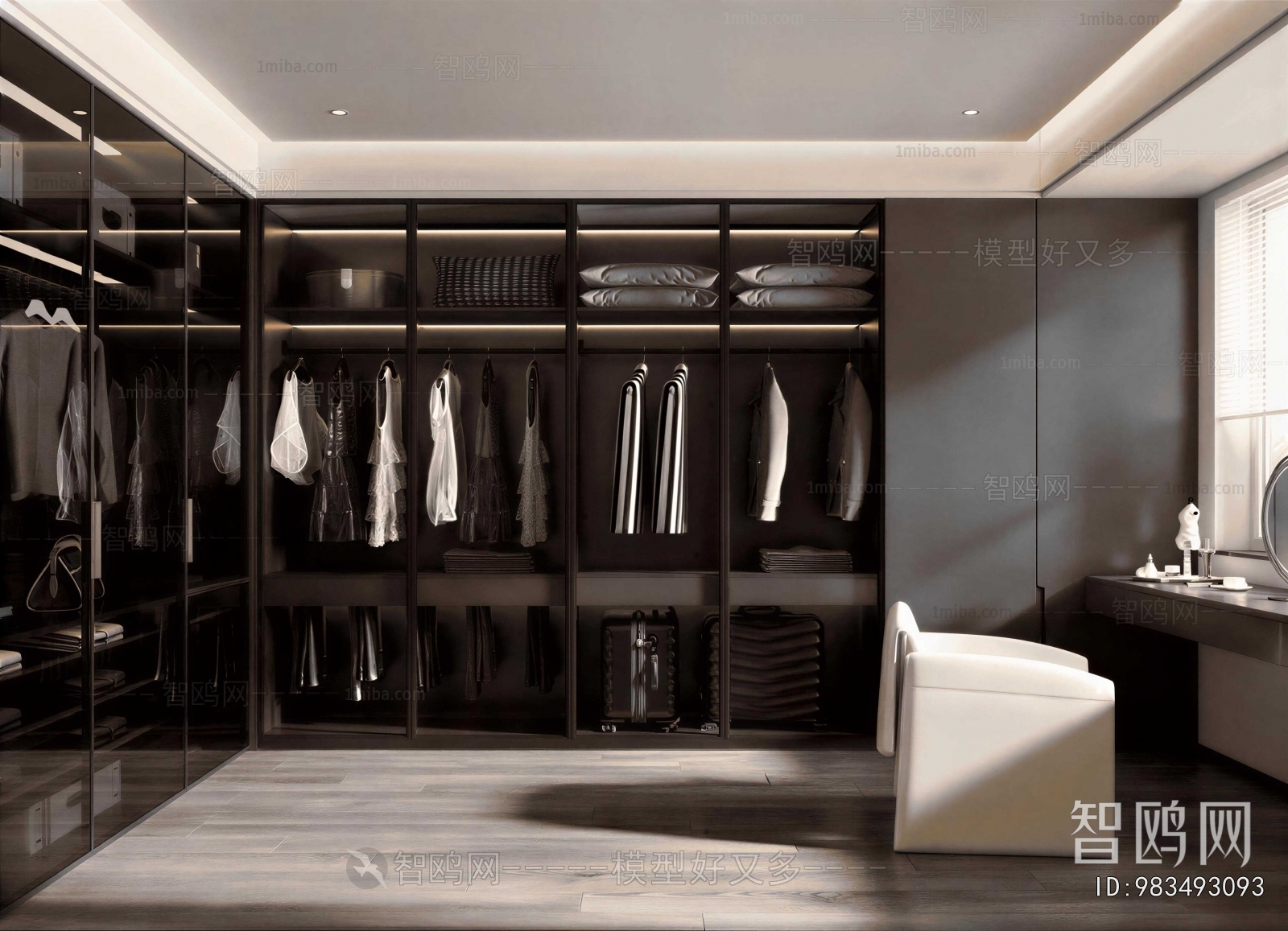 Modern Clothes Storage Area