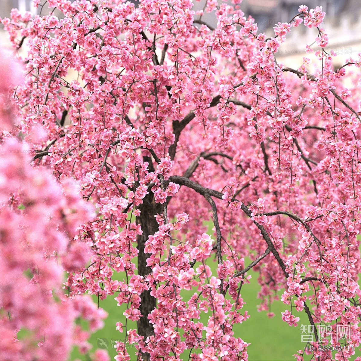 Modern Tree