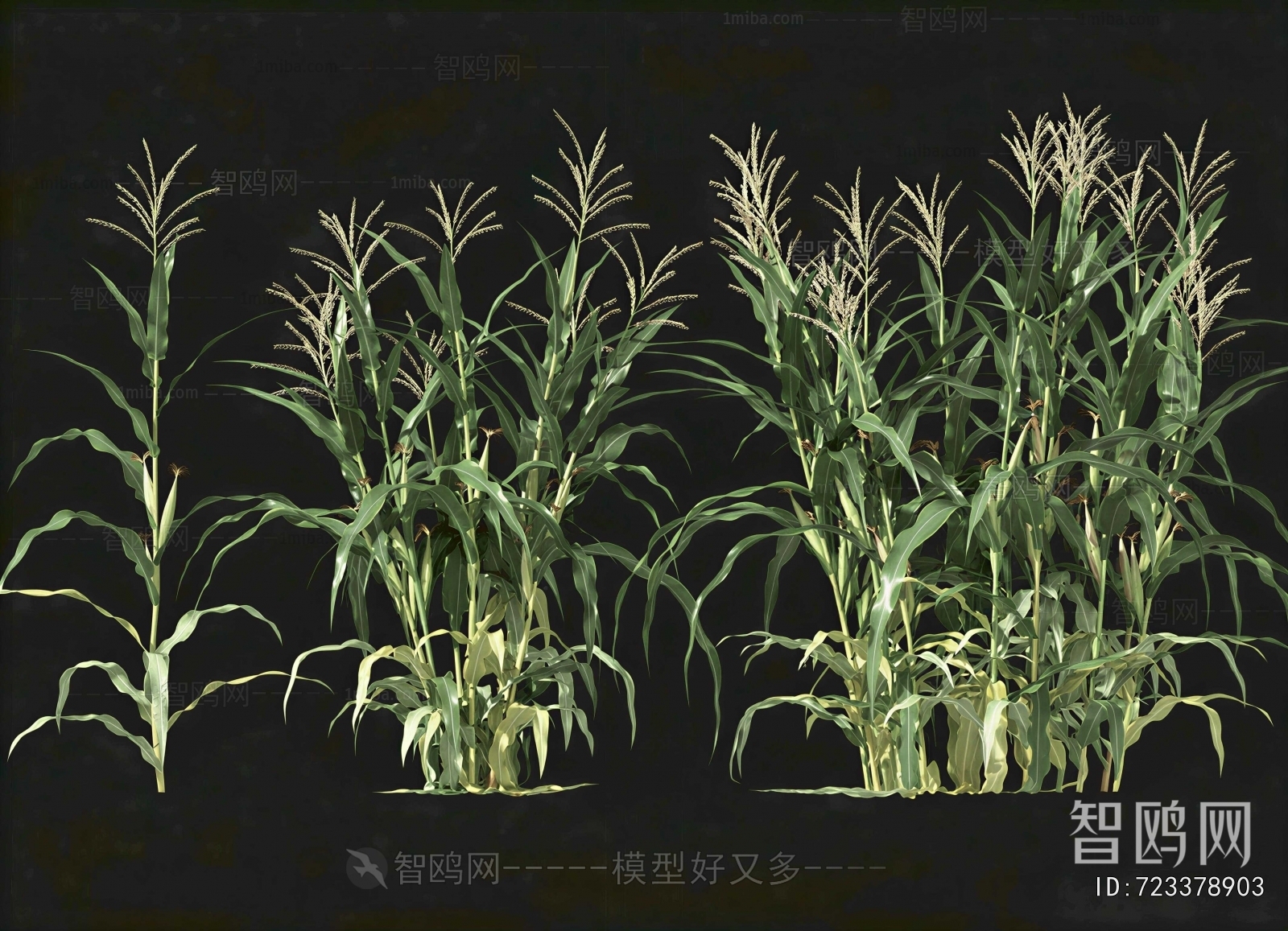 Modern Crop