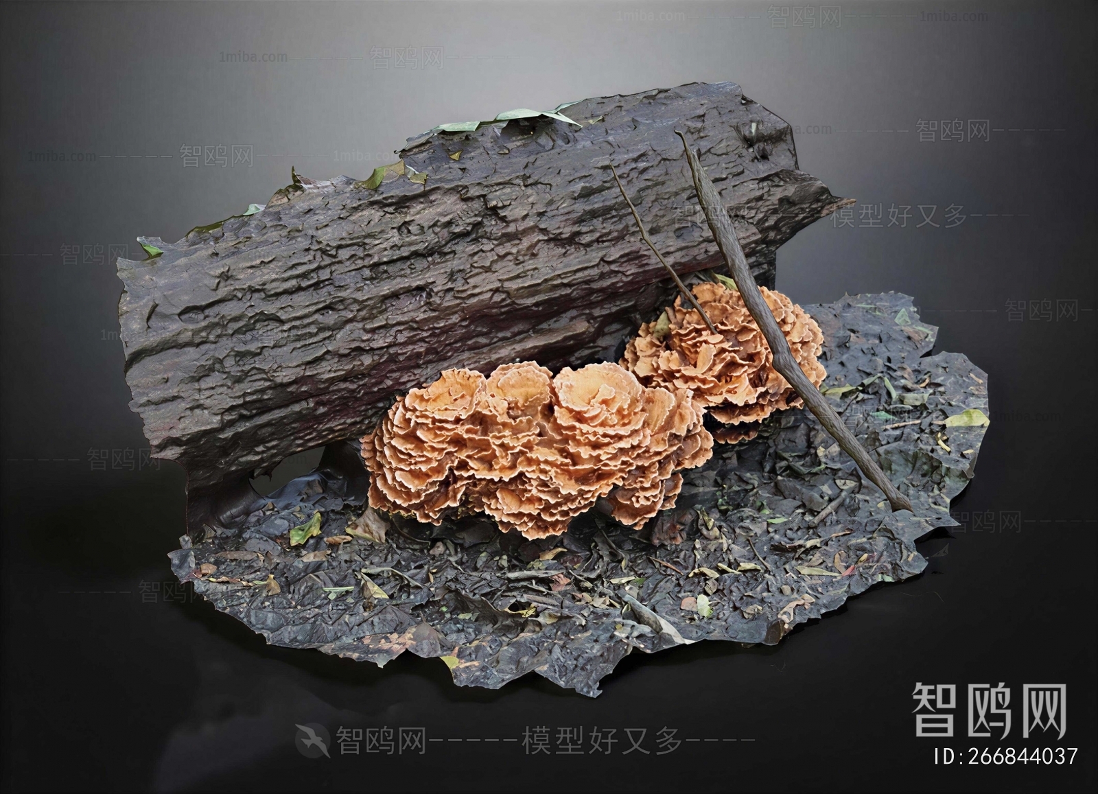 Modern Food/vegetables/fruit