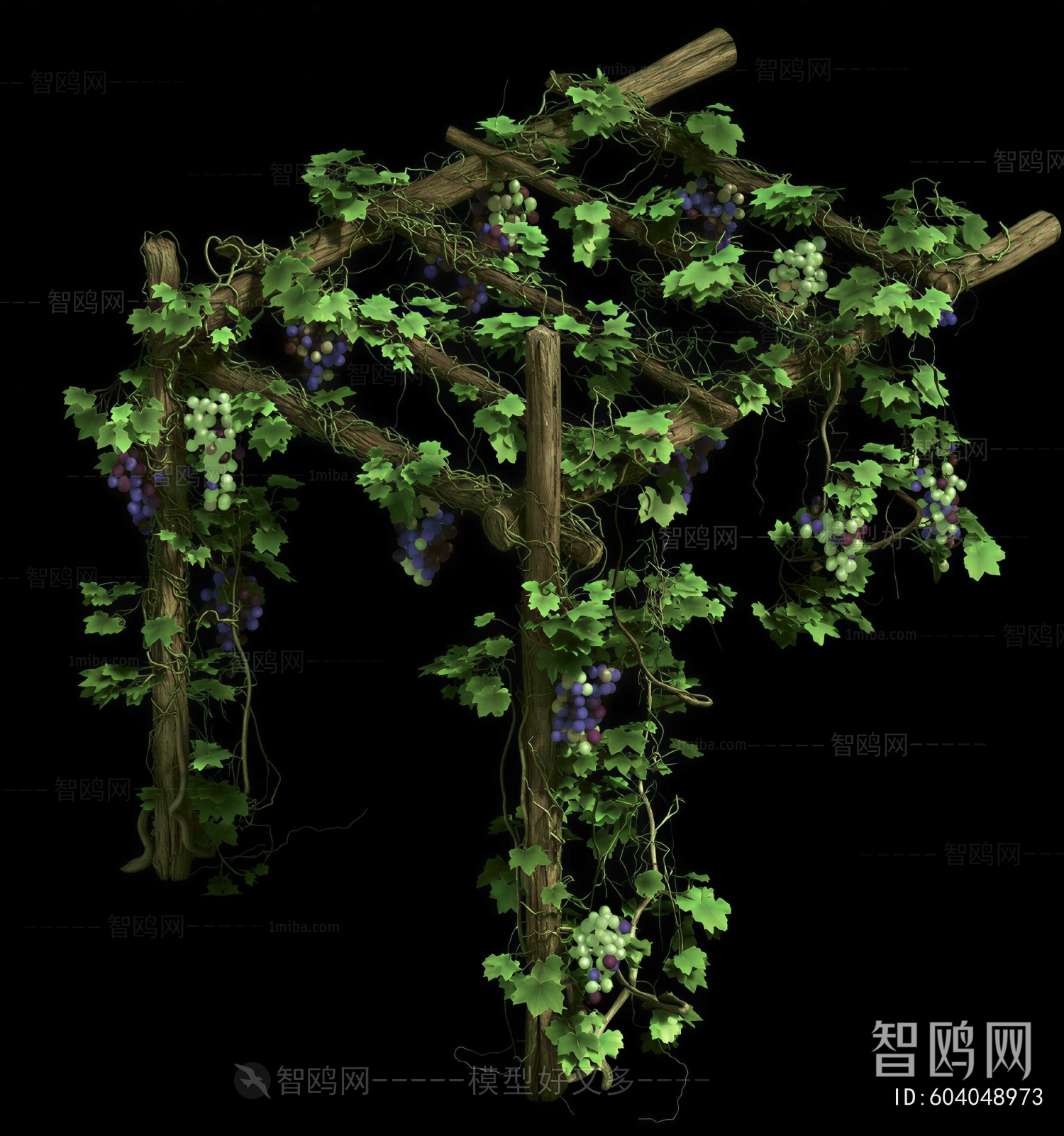 Modern Vine