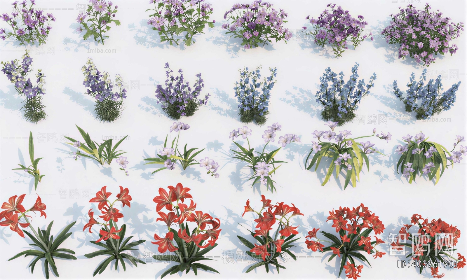 Modern Flowers And Grass
