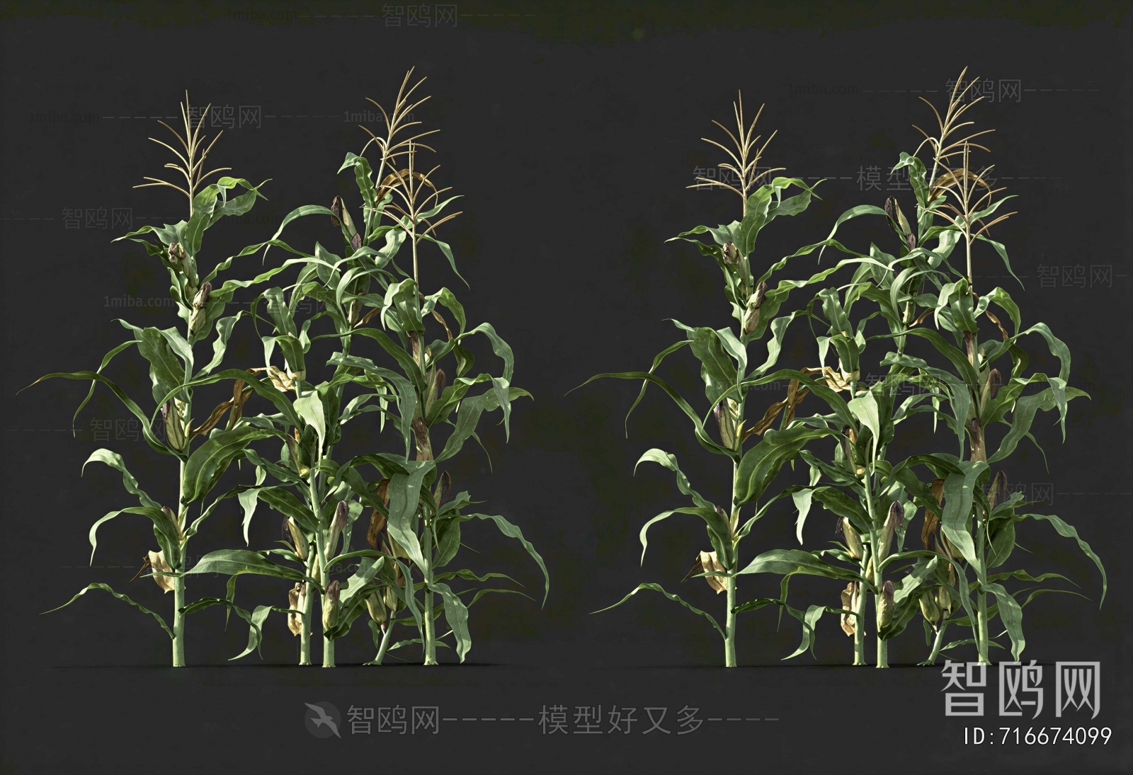 Modern Crop