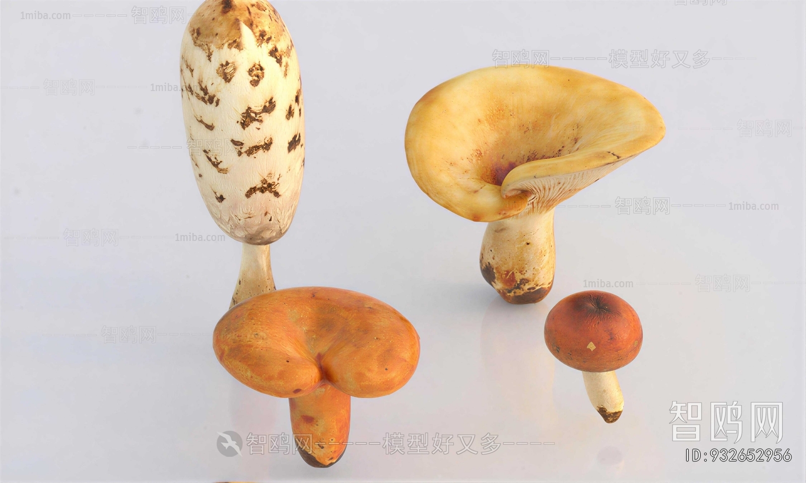 Modern Vegetables