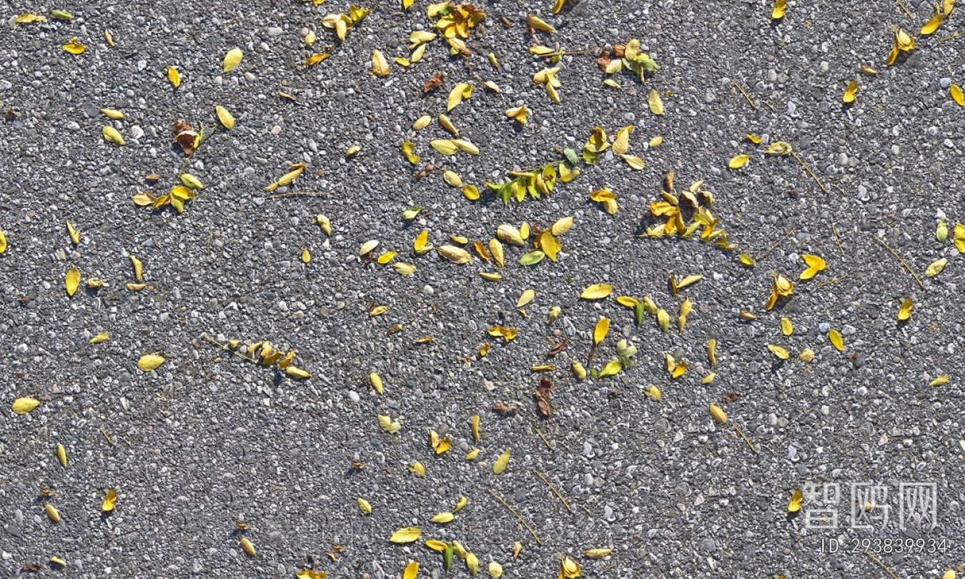 Pavement