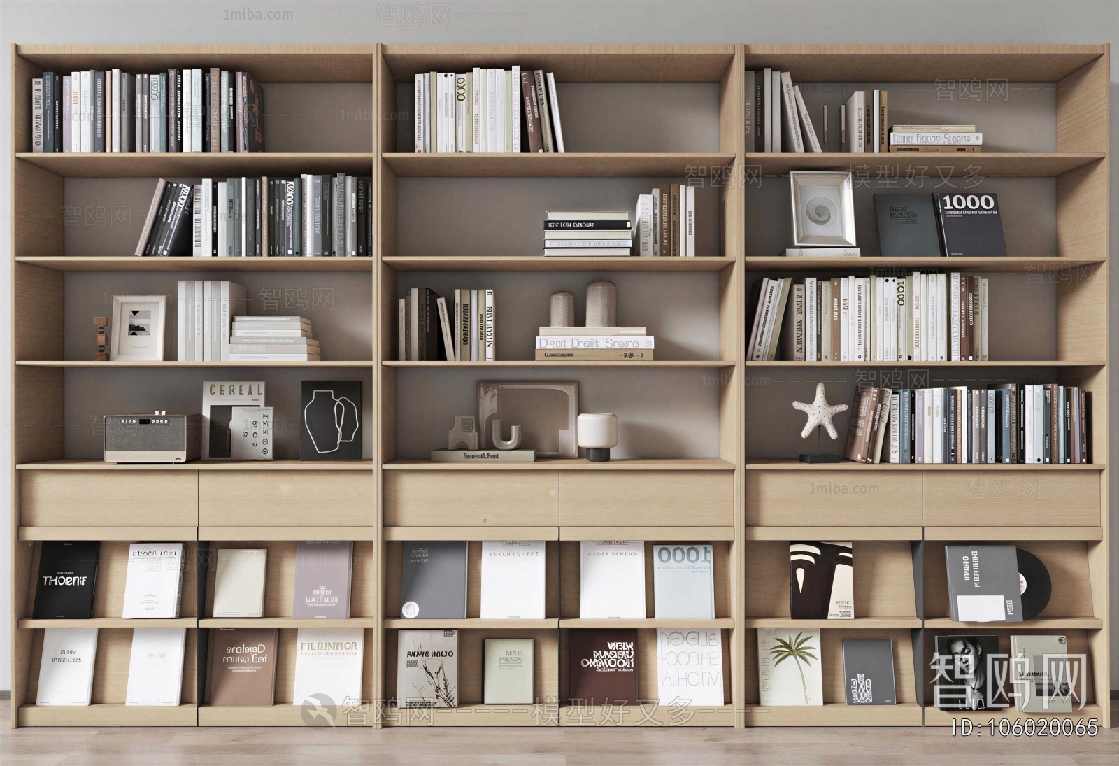 Modern Bookcase