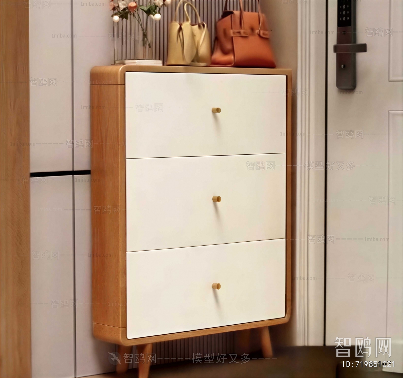 Modern Shoe Cabinet