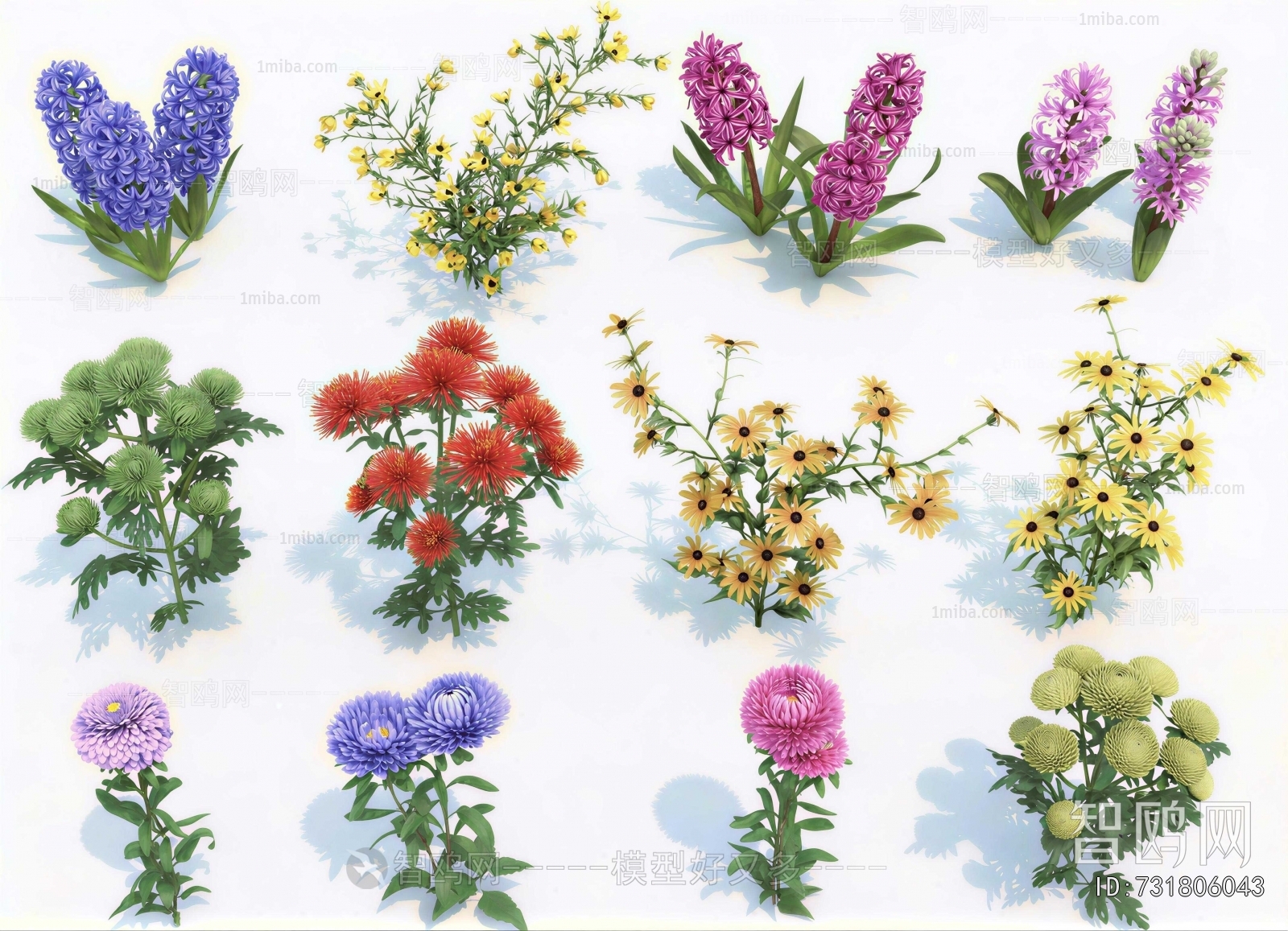 Modern Flowers And Grass