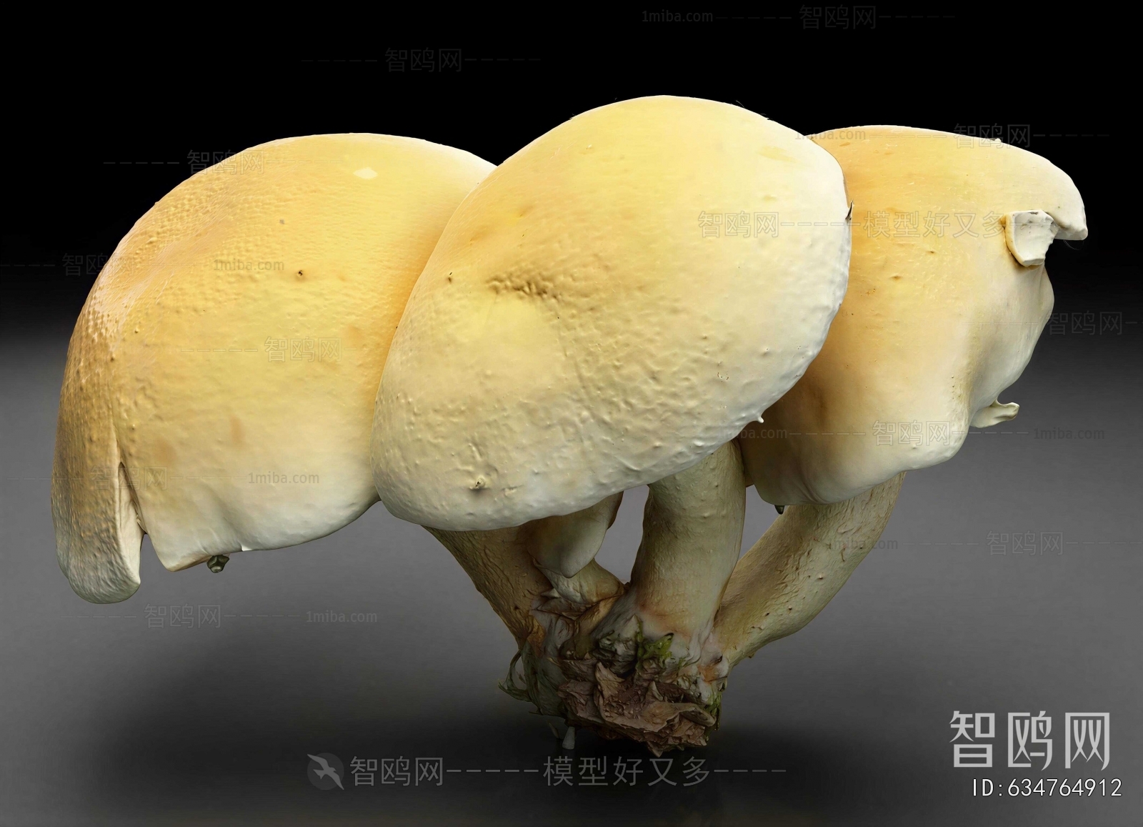 Modern Vegetables