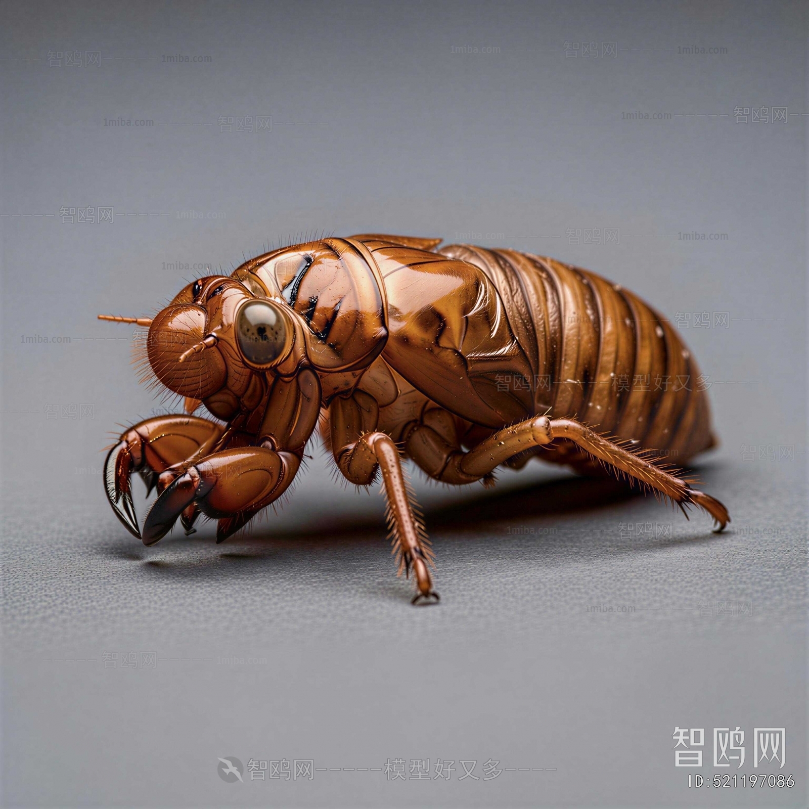 Modern Other Animals