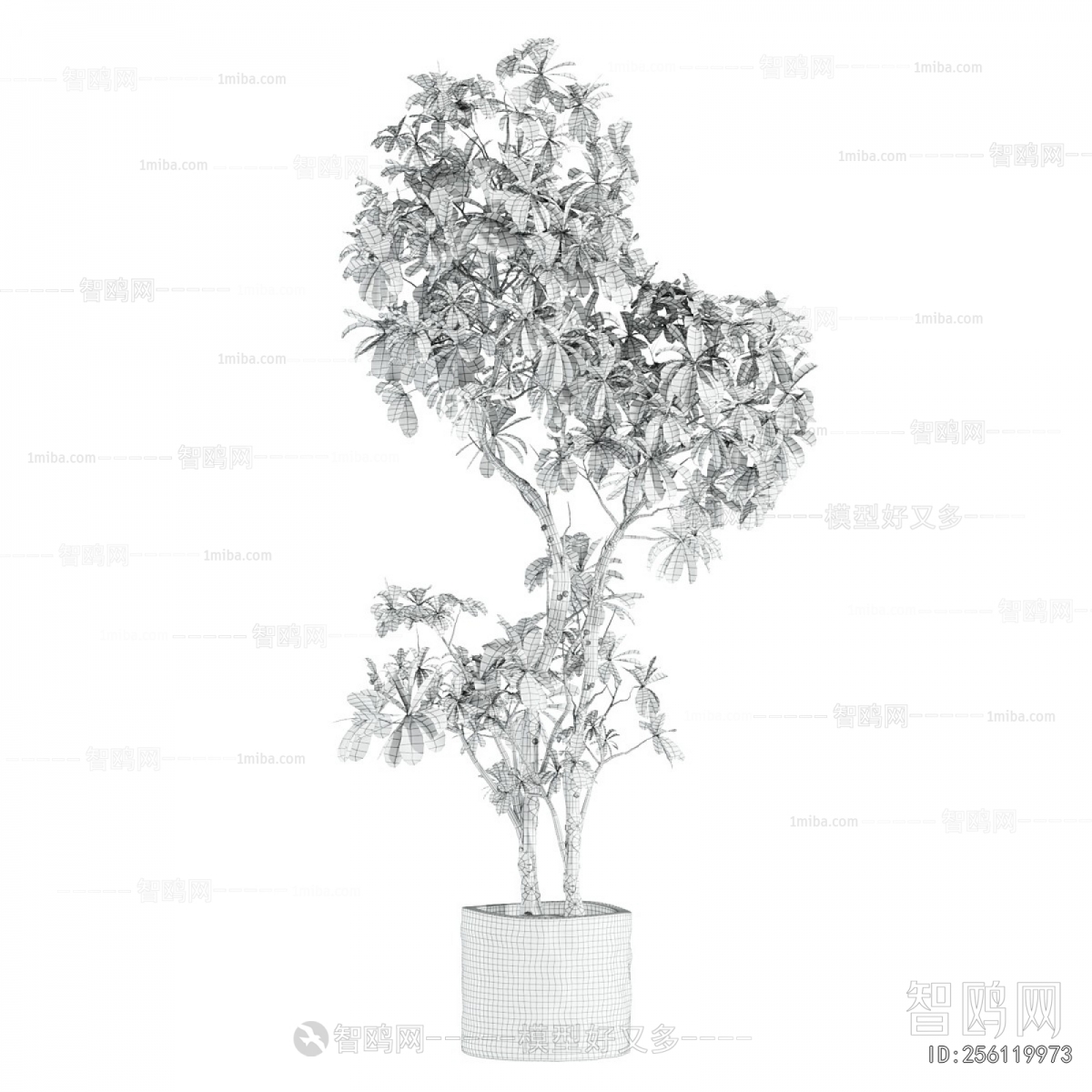 Modern Ground Green Plant Potted Plants