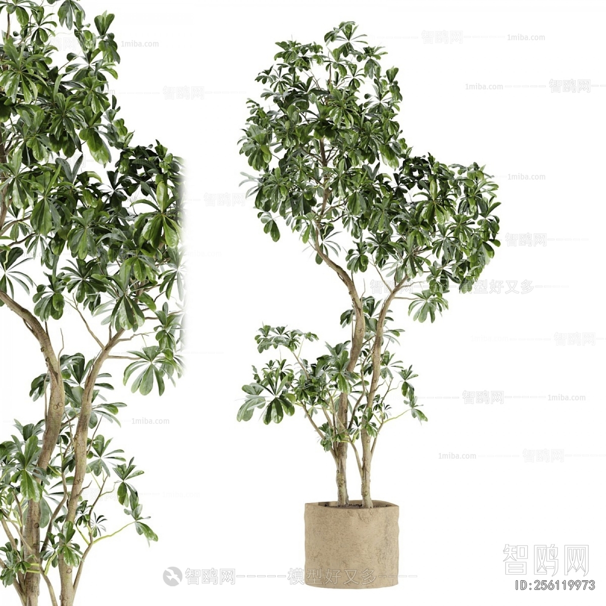 Modern Ground Green Plant Potted Plants