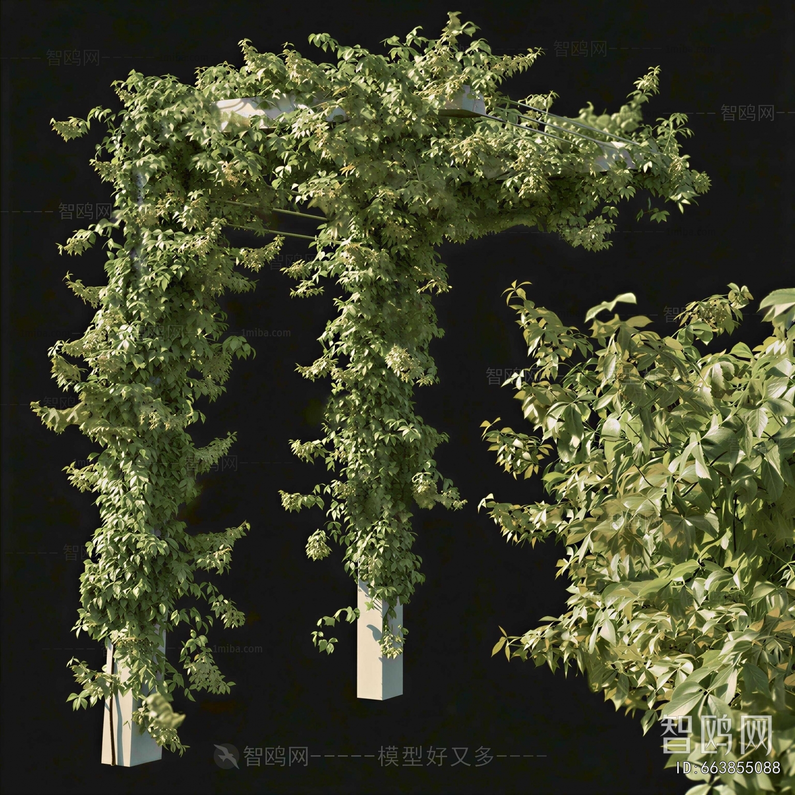 Modern Vine