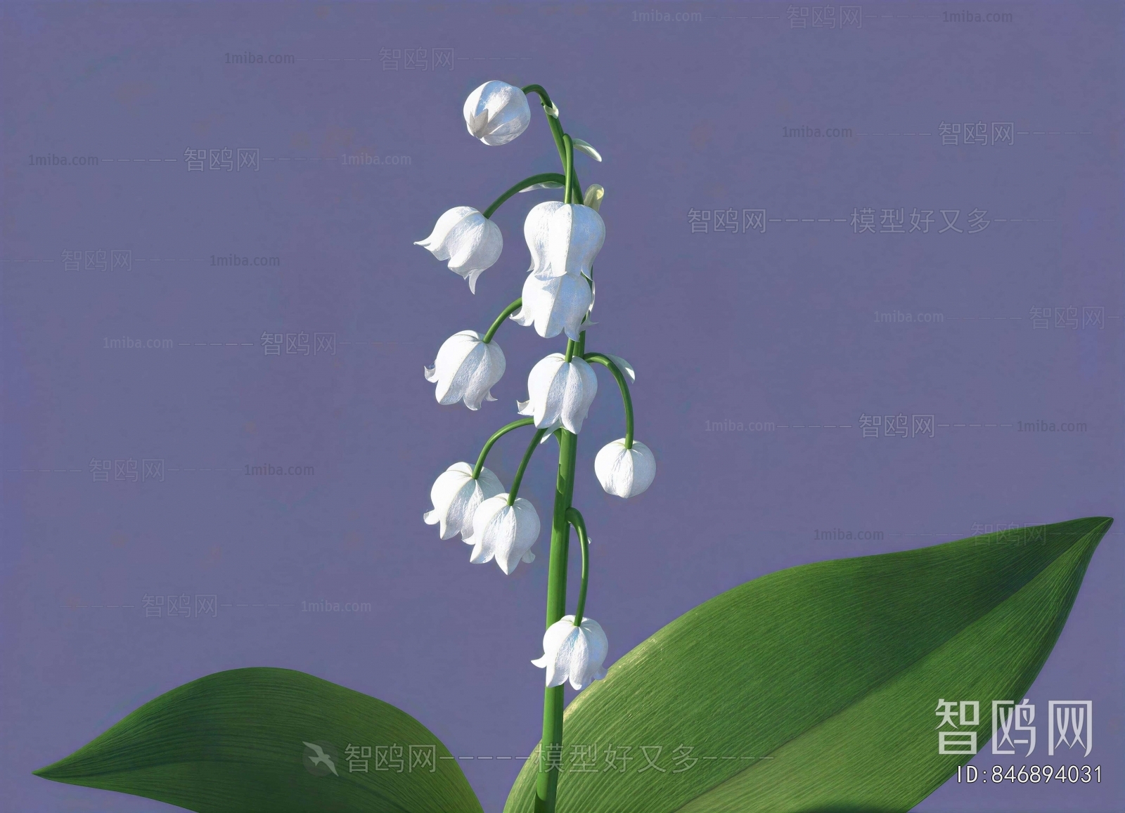 Modern Flowers And Grass
