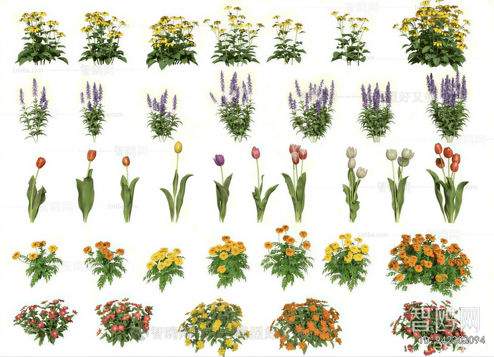 Modern Flowers And Grass